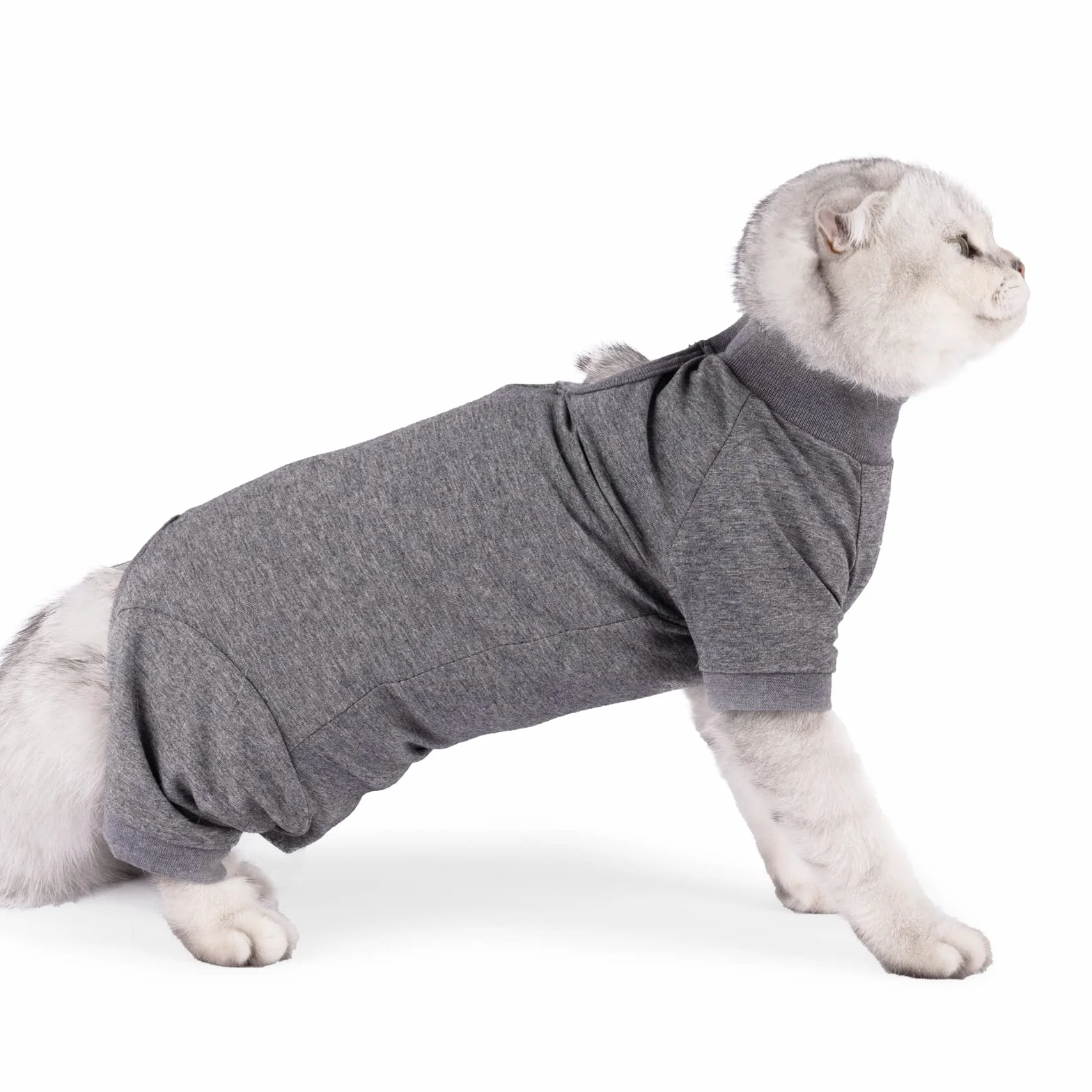 Body Chat Post Operatoire Femelle Male Anti lechage Longues Onesies Gilet Chat Sterilisation