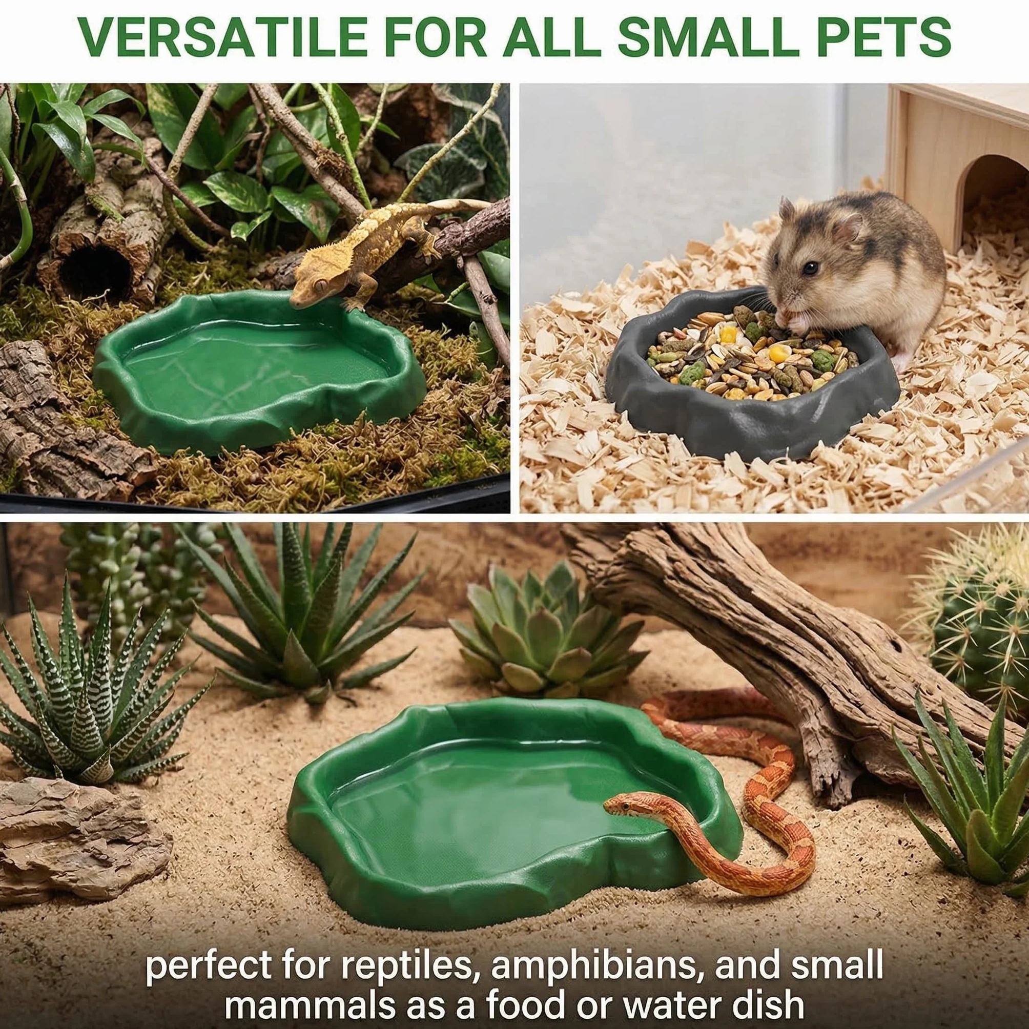 Abreuvoir Tortue Terrestre Bol Alimentation Reptiles Serpents Lézards 2pcs