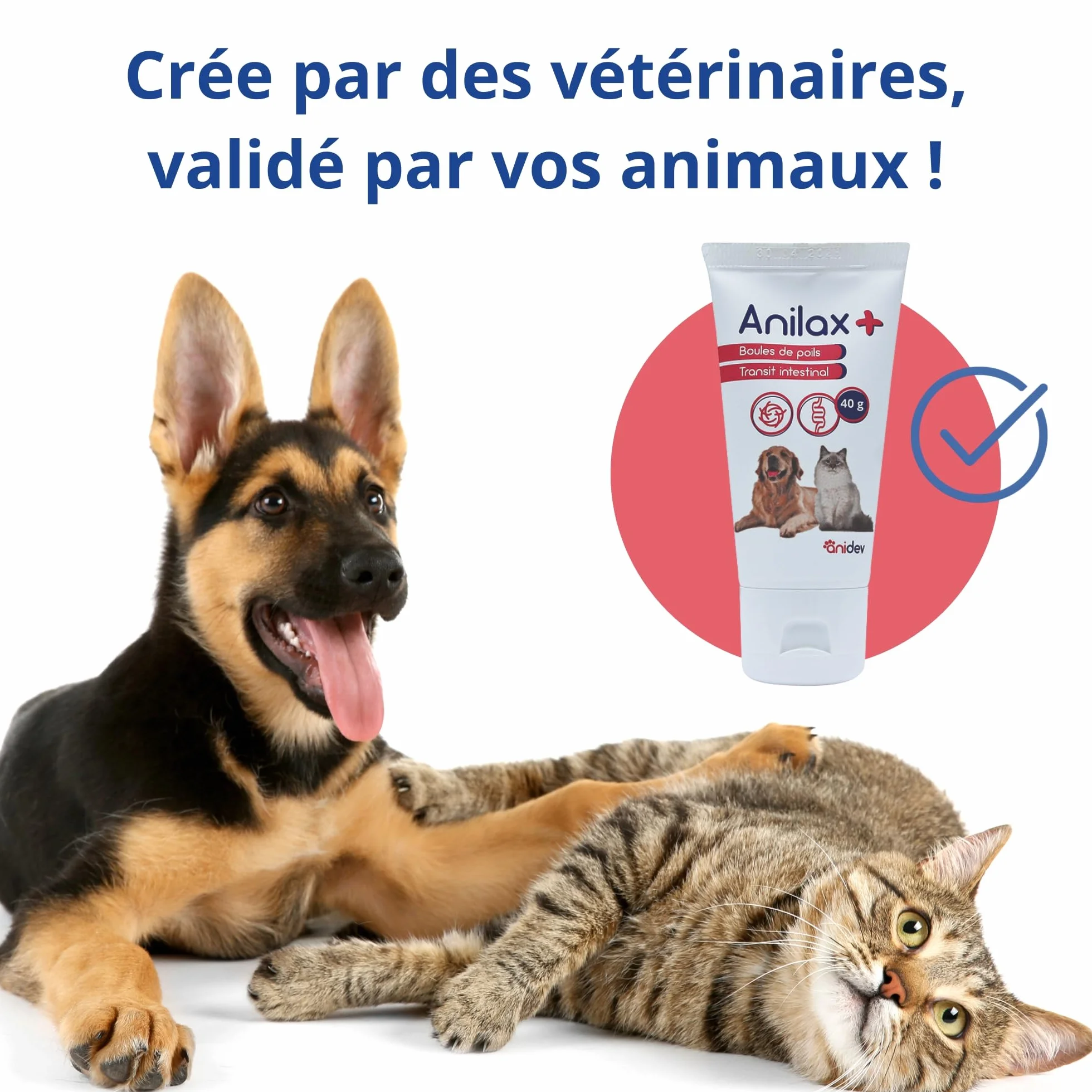 Anidev Anilax+ Aliment complémentaire Transit Chats Chiens Anti Boules de Poils Malt Psyllium Tube 40 g