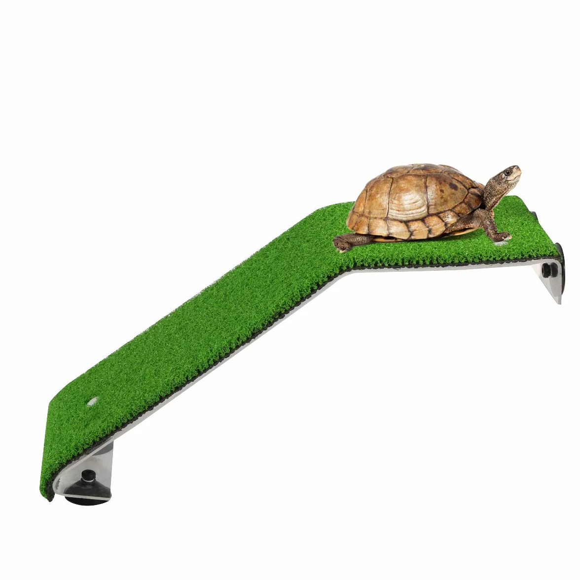 SOONHUA Tortue Aquarium Simulé Pelouse Plateforme Échelle pour Tortues Grenouilles Tritons Salamandres