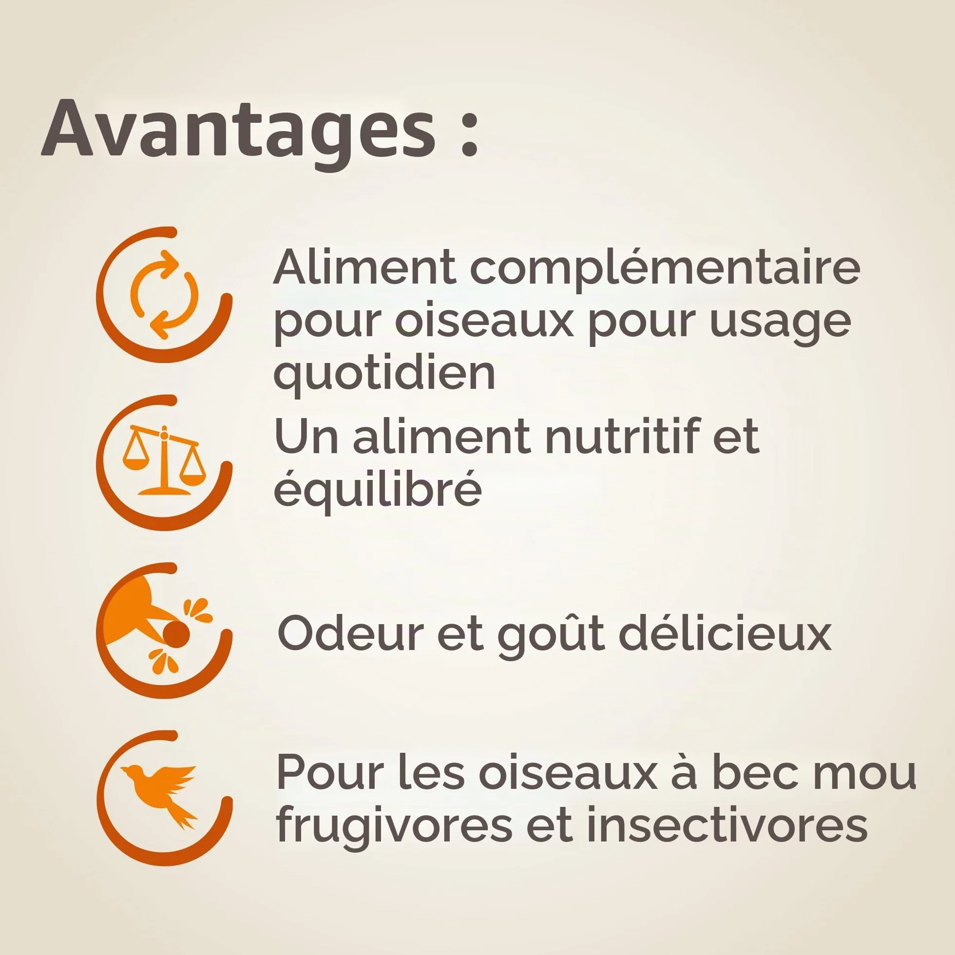BEAPHAR Pâtée Universelle pour Oiseaux Insectivores & Frugivores 1kg