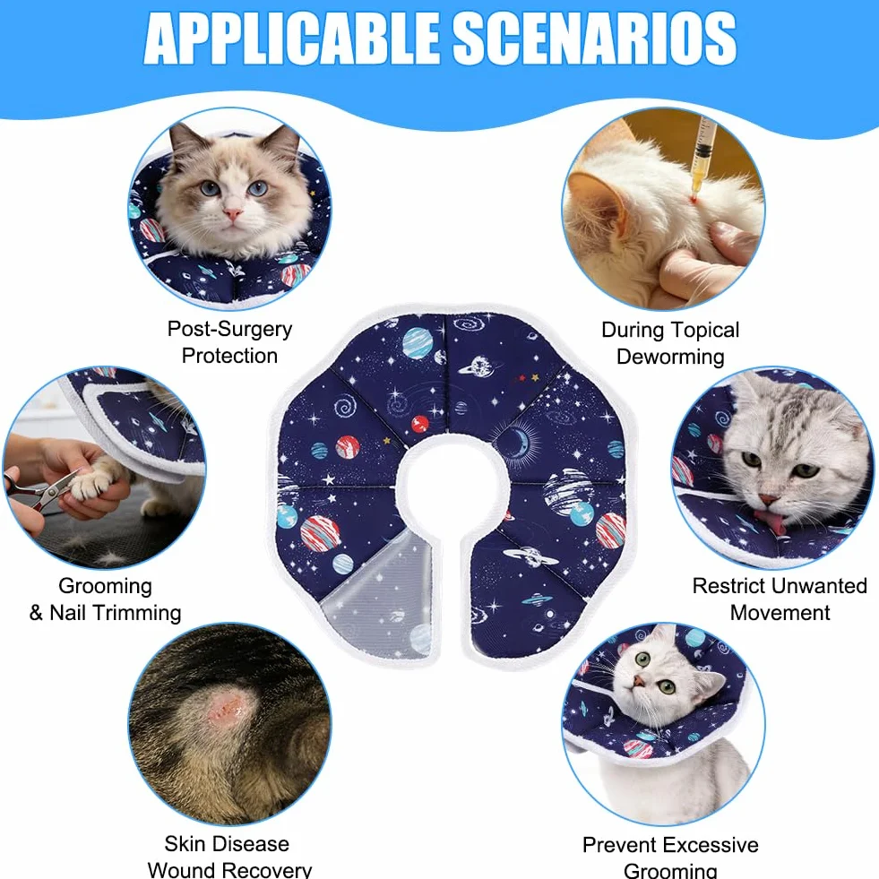 Collier de Protection Chat S Tour de Cou 16–23 cm Ajustable Anti-mordillement Post-opératoire