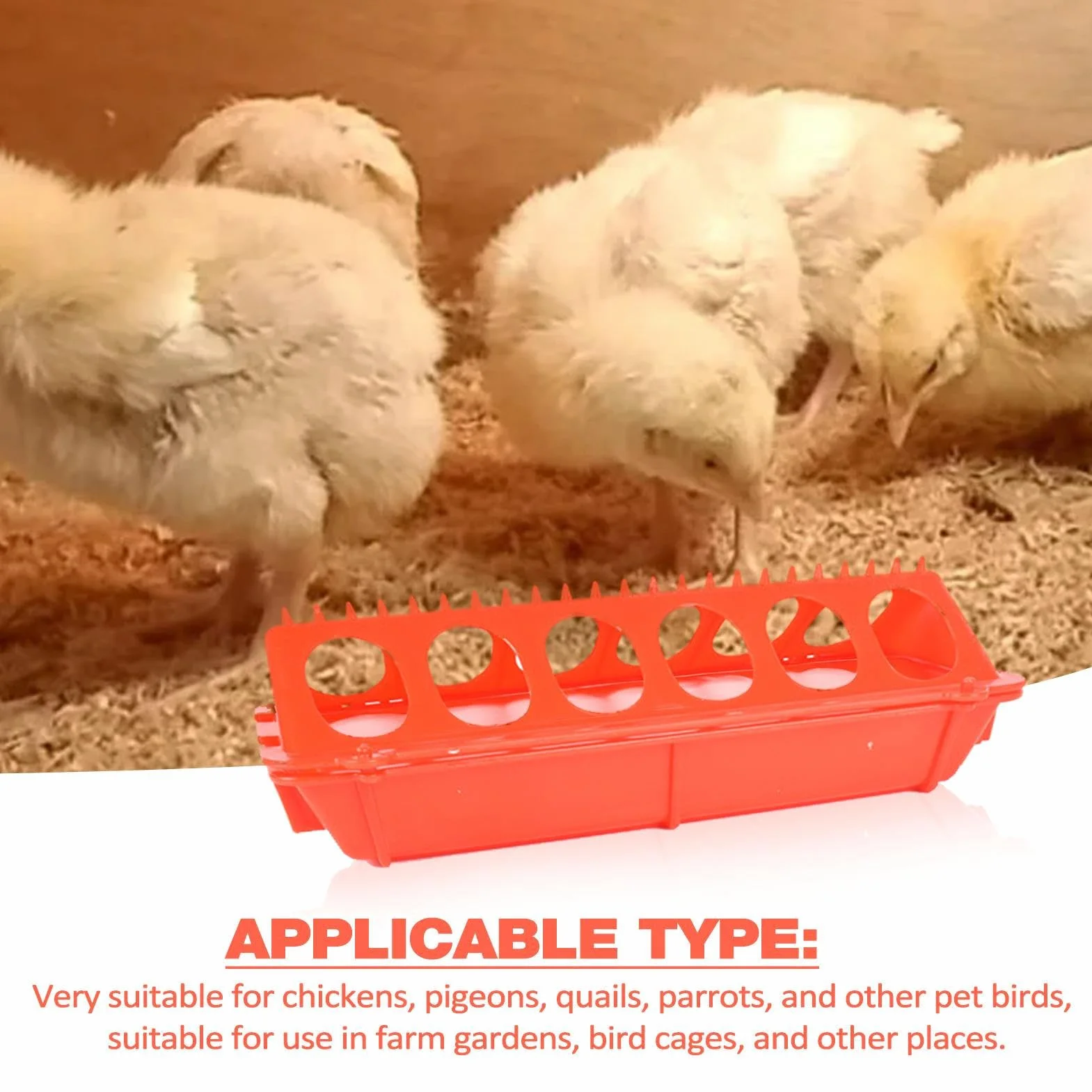 Mangeoire à volaille grande capacité pour poulet pigeon caille perroquet