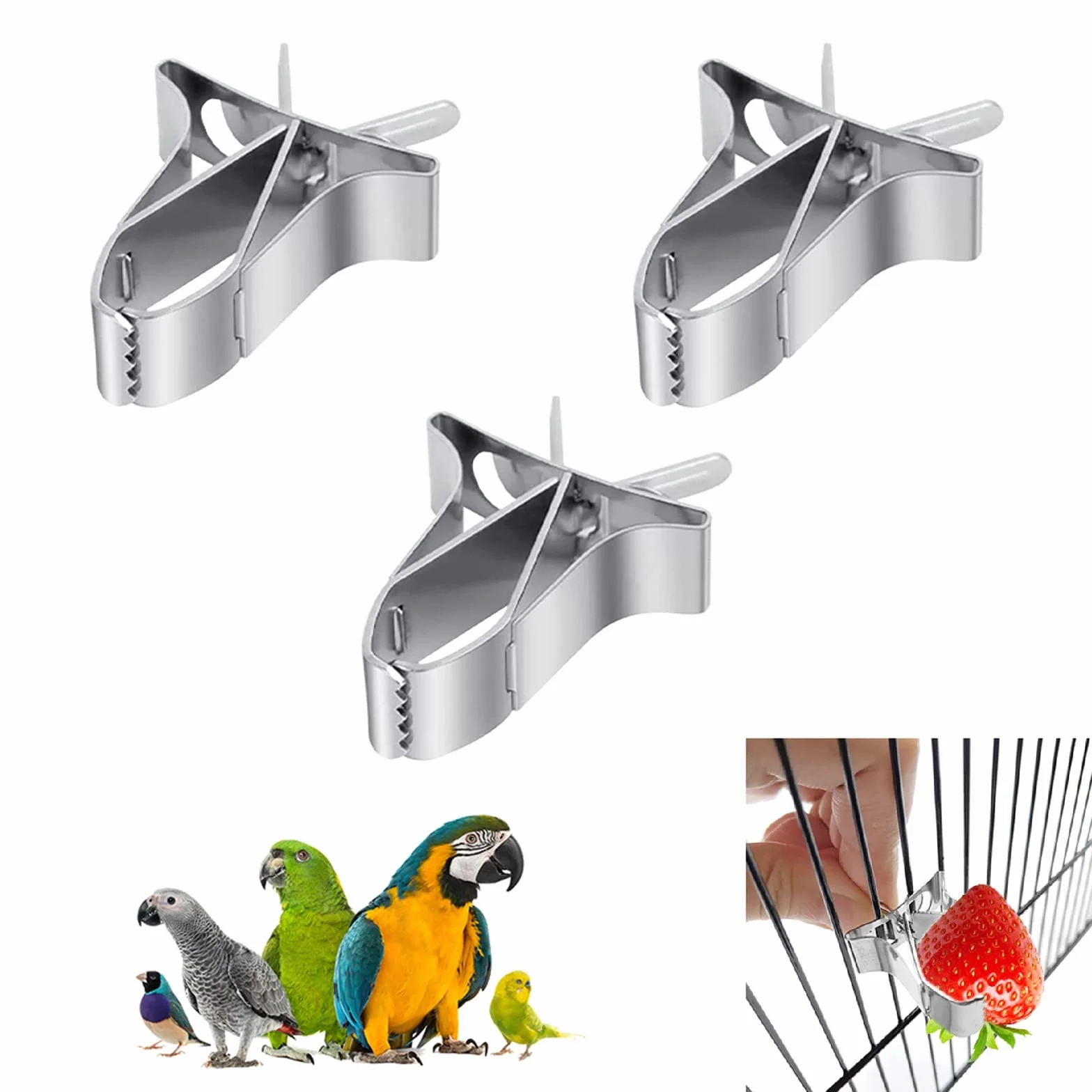 Lot de 3 pinces pour perruches et calopsittes