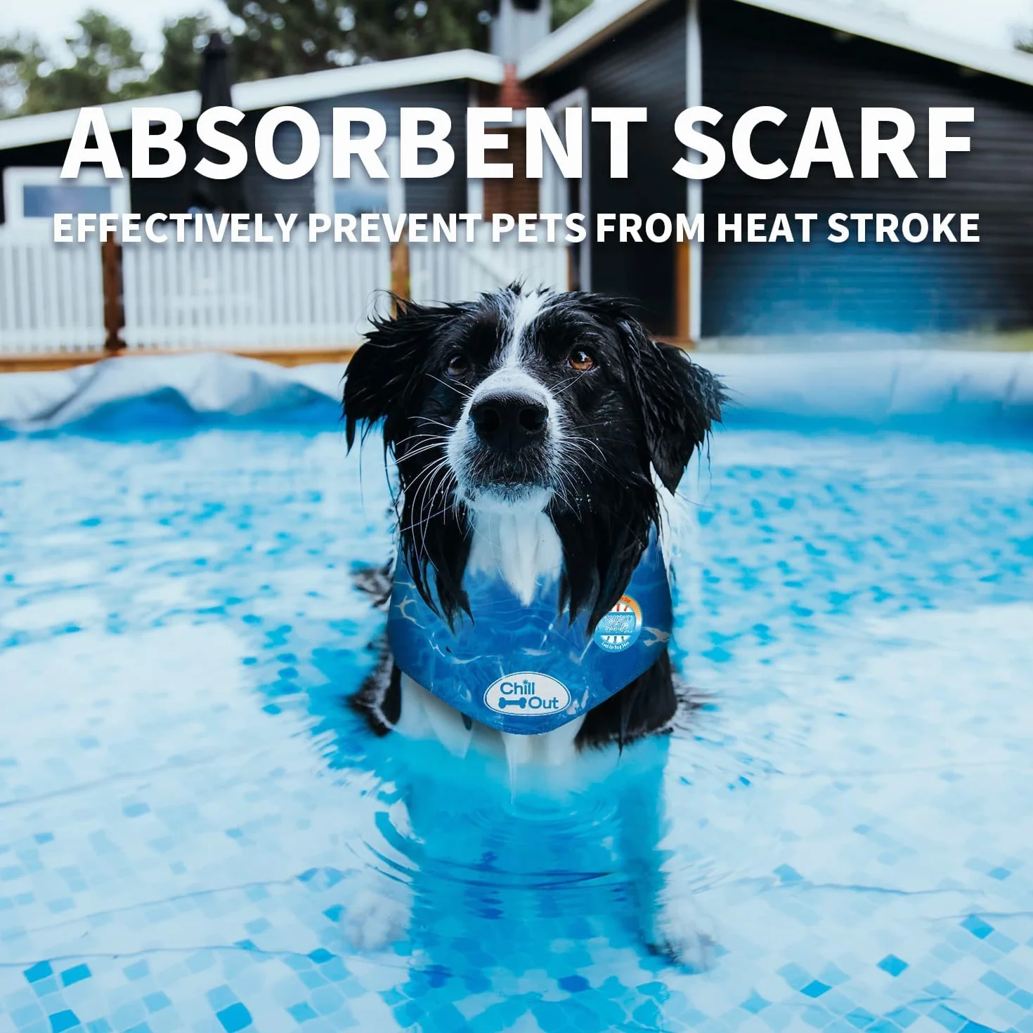 ALL FOR PAWS Bandana Rafraîchissant pour Chien, À Refroidissement Instantané Été, Tour De Cou 53-62cm XL