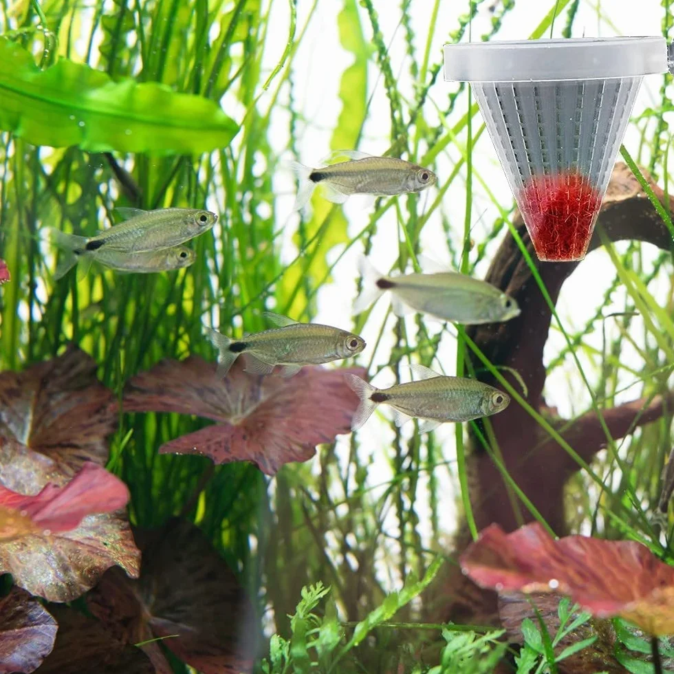 DONGKER Aquarium Cone Feeder avec Ventouse pour Poissons