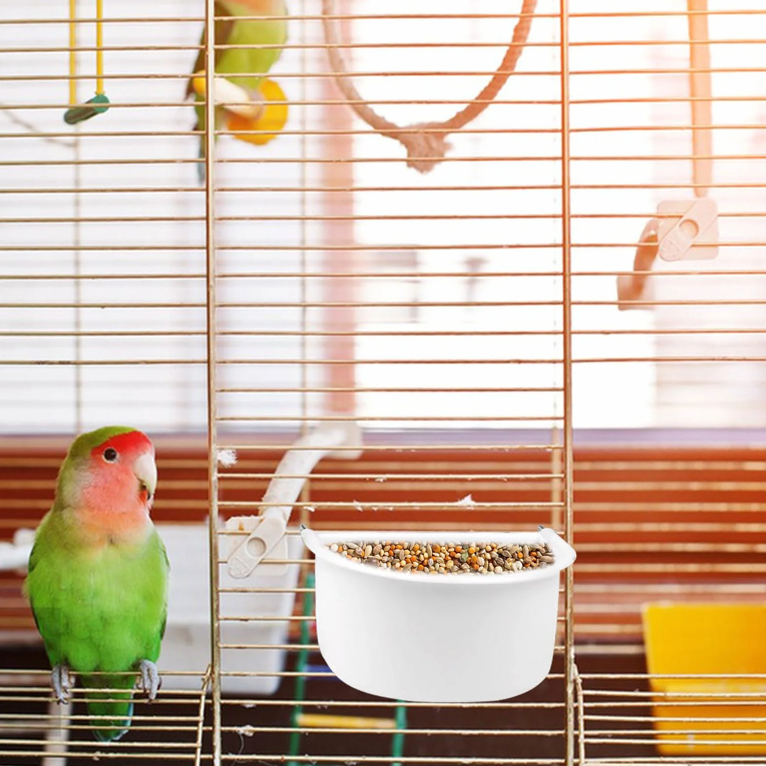 Gamelles en plastique en forme de D avec crochet pour cage à oiseaux - Accessoires pour petits oiseaux, perroquets, calopsittes et perruches (blanc)