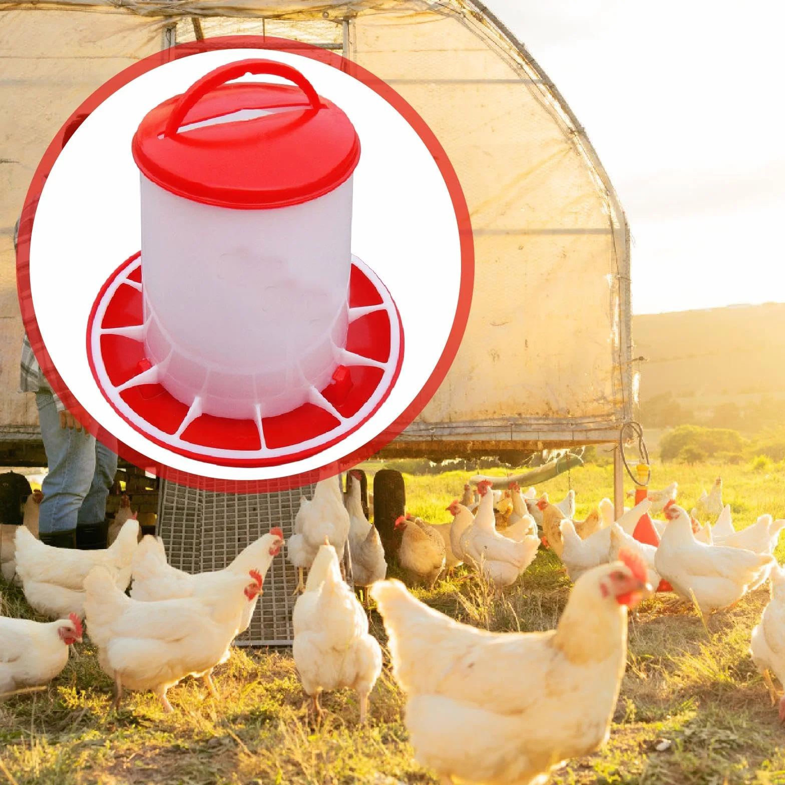 Mangeoire Suspendue pour Basse-Cour 3 kg, Distributeur Nourriture et Eau PP, Seau Alimentation Anti-Bactérienne pour Poules Canards