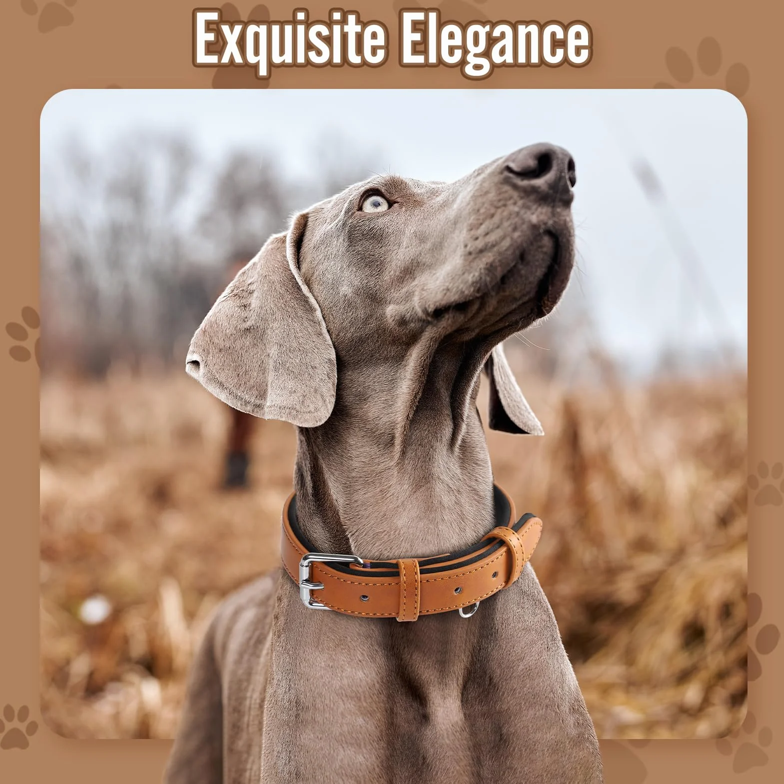 Grand Line Collier de Chien Ajustable Cuir Rembourré Marron M