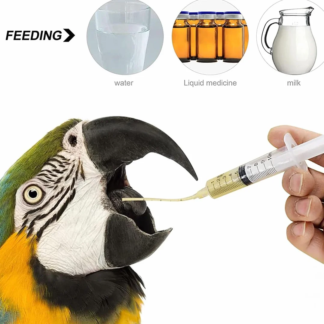 Seringue 10 ml Nourrissage Oiseaux Sondes Alimentation Oisillons Bébé Oiseau