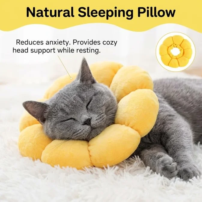 Collerette pour Chat Design Tournesol Collier Élisabethain Doux Protection Après Opération Anti Léchage Réglable