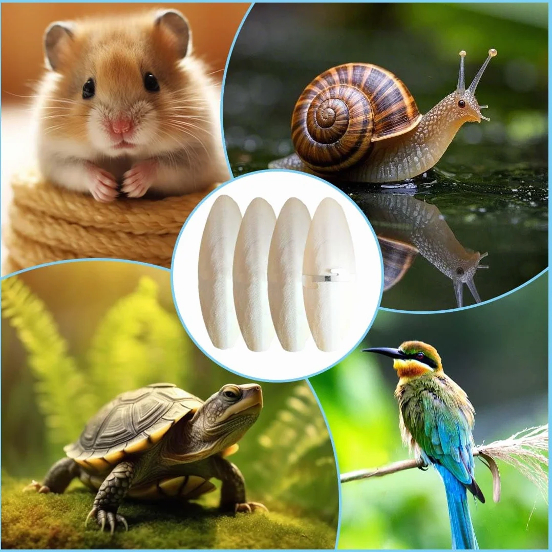 Os De Seiche Naturel Lot De 4 Jouet À Mâcher 11-13Cm Pour Perroquets Perruches Oiseaux Supplément Calcium Reptiles Tortues