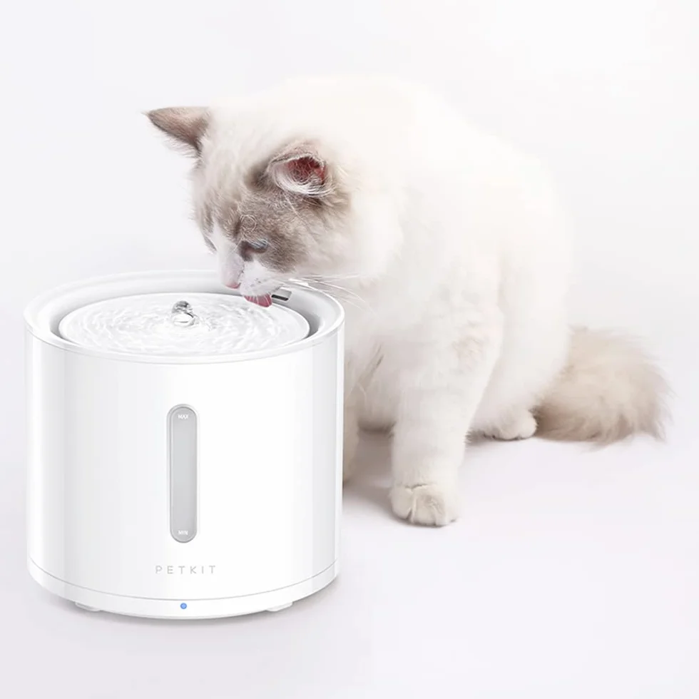 PETKIT Filtre à Eau pour Chat et Chien, 5 pièces, Compatible EVERSWEET 2.0 & 3.0 & CYBERTAIL, 0.25 kg