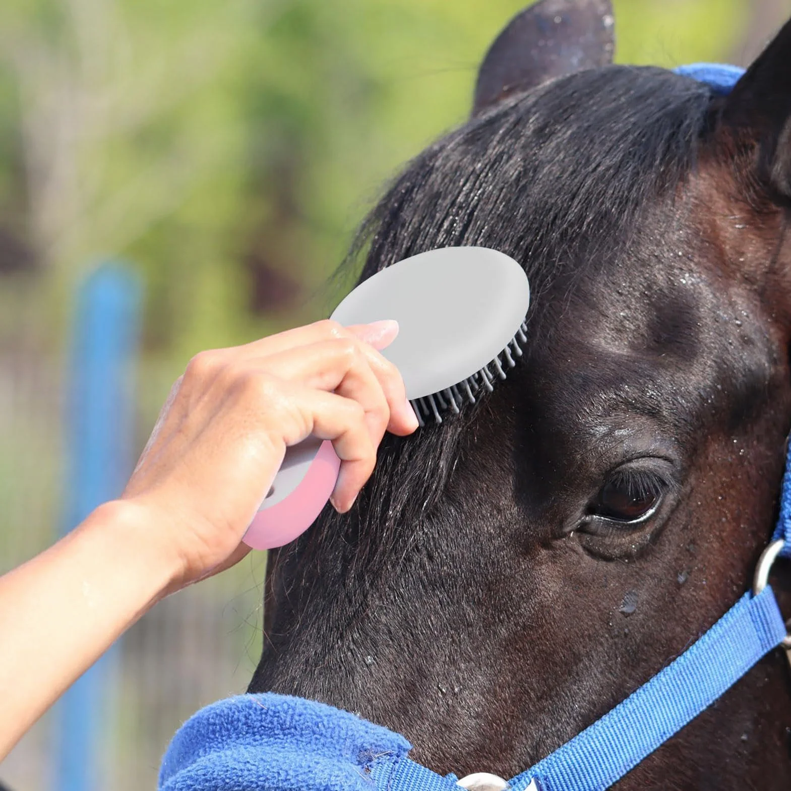 Brosse Crinière et Queue de Cheval Accessoire Toilettage Massage En Crin Antidérapant