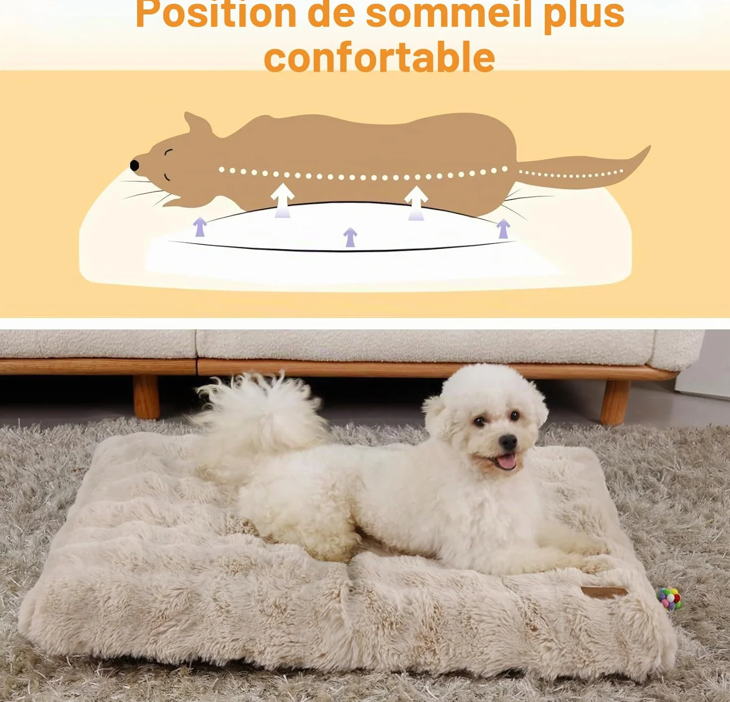 BingoPaw Panier Chien Grande Taille 90x60x10cm Coussin Déhoussable Lavable Machine Imperméable Tissu Peluche Doux Beige