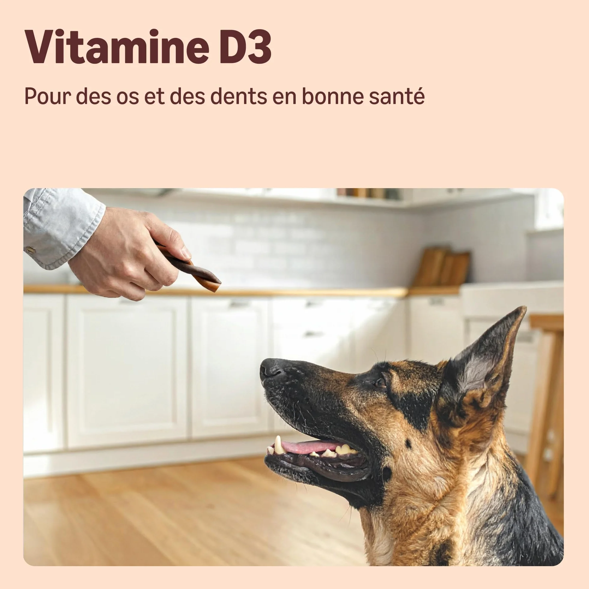 by Amazon pour Chiens - Bâtonnets Torsadés à la Volaille et au Gibier, 100g