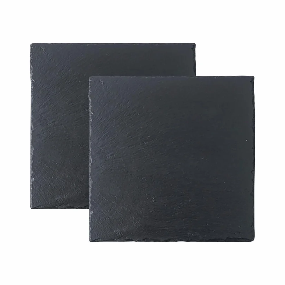 Lot de 2 Plateaux en Ardoise Naturelle pour Reptile - Noir