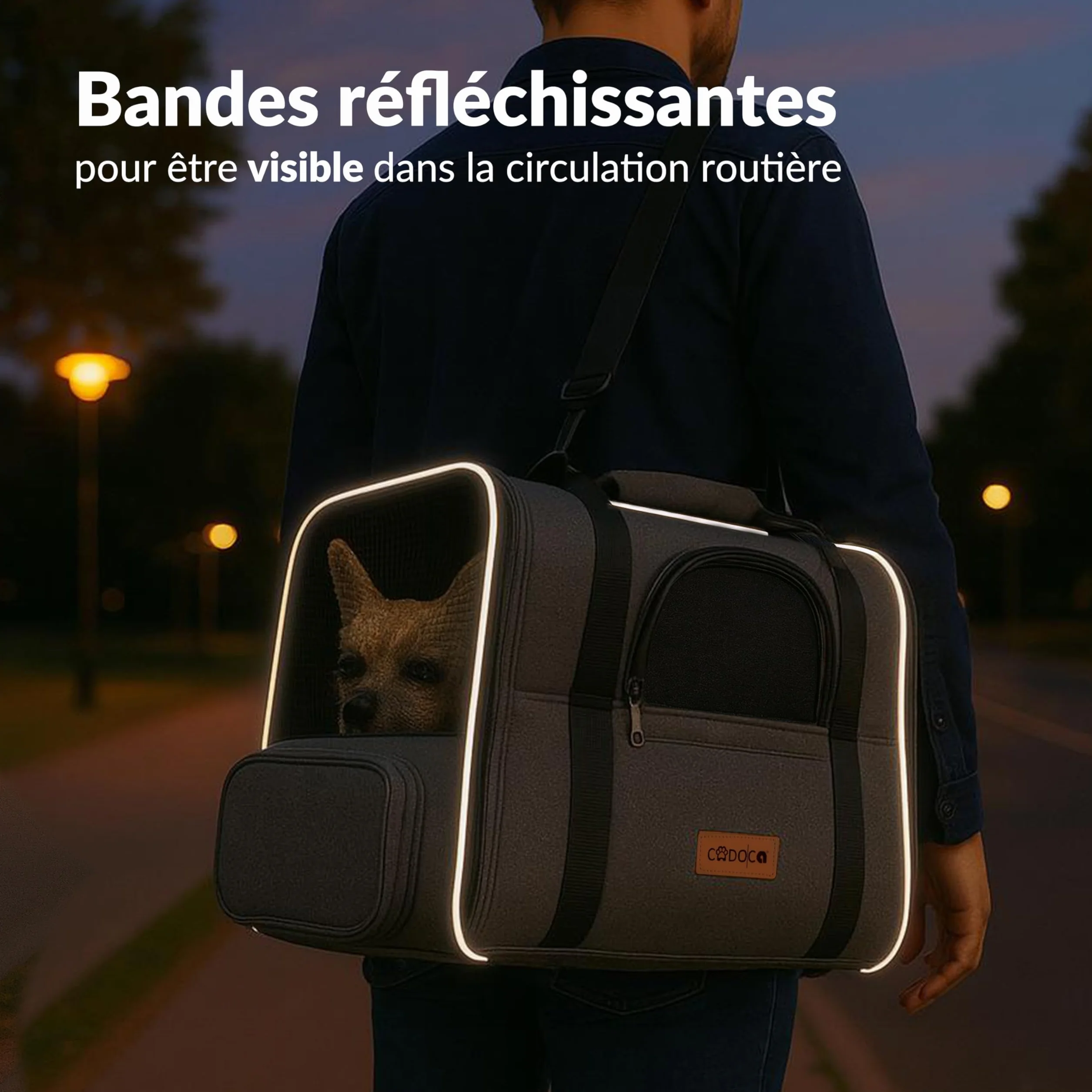 CADOCA® Sac de Transport pour Chat Chien Max. 20kg Gris Pliable avec bandoulière Caisse de Transport Chat Respirant avec gamelle