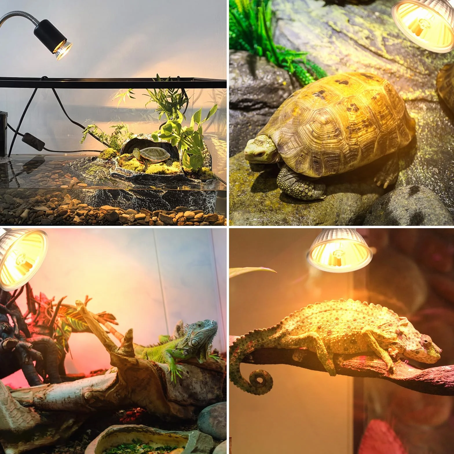 Lampe Chauffante UVA UVB pour Tortue E27 75W Dimmable AC 220V 2700K Lot de 4