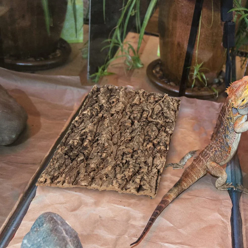 Zerodeko 3 Panneaux Fond Écorce Liège Terrarium Décor Mural Reptiles Décoration Tapis Escalade Habitat Tortue Lézard