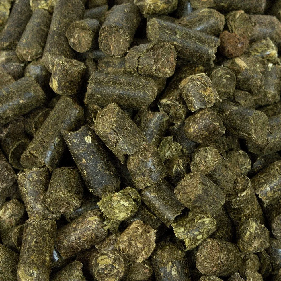 Mühldorfer Heucobs Medium 20 kg Substitut à Foin pour Chevaux Allergiques