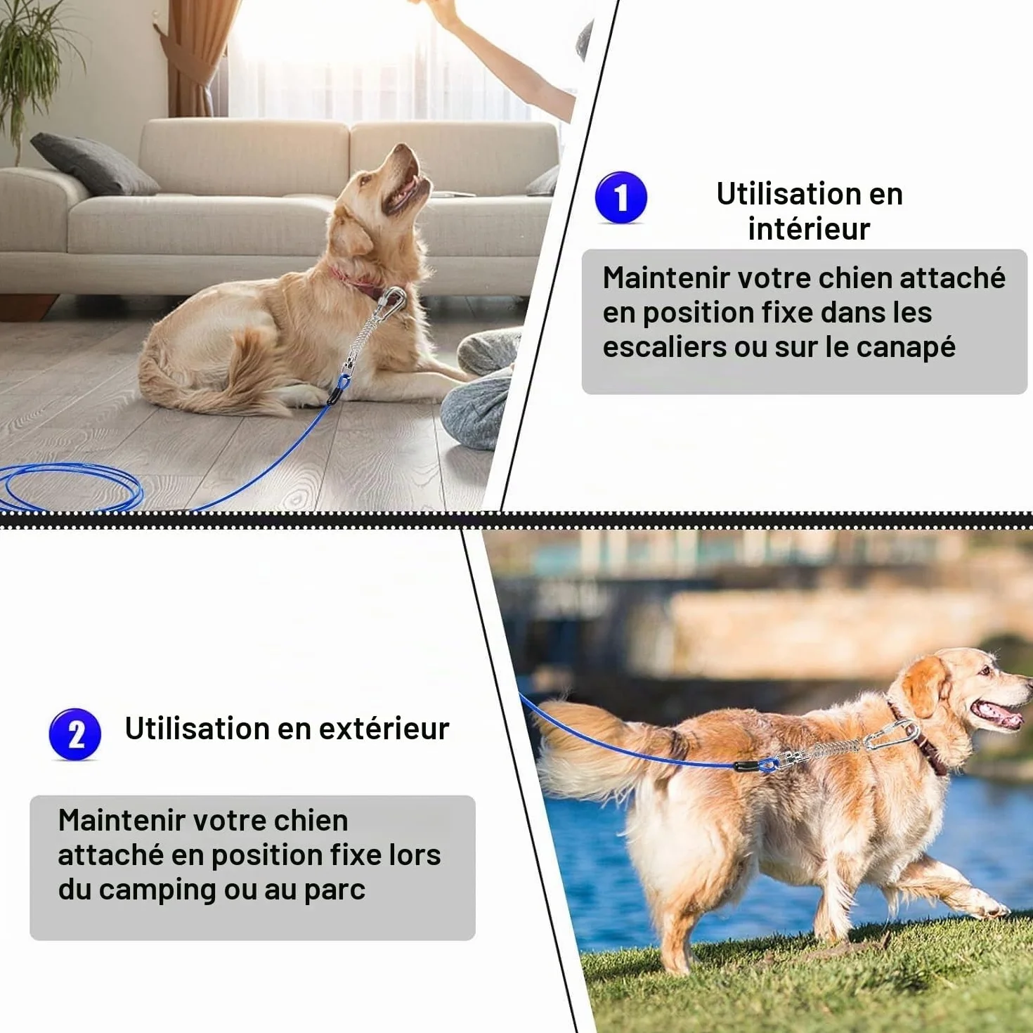Chaine Chien Acier Inoxydable 3m Câble d'attache pour Chiens Laisse Résistante à Morsure avec Amortisseur Bleu