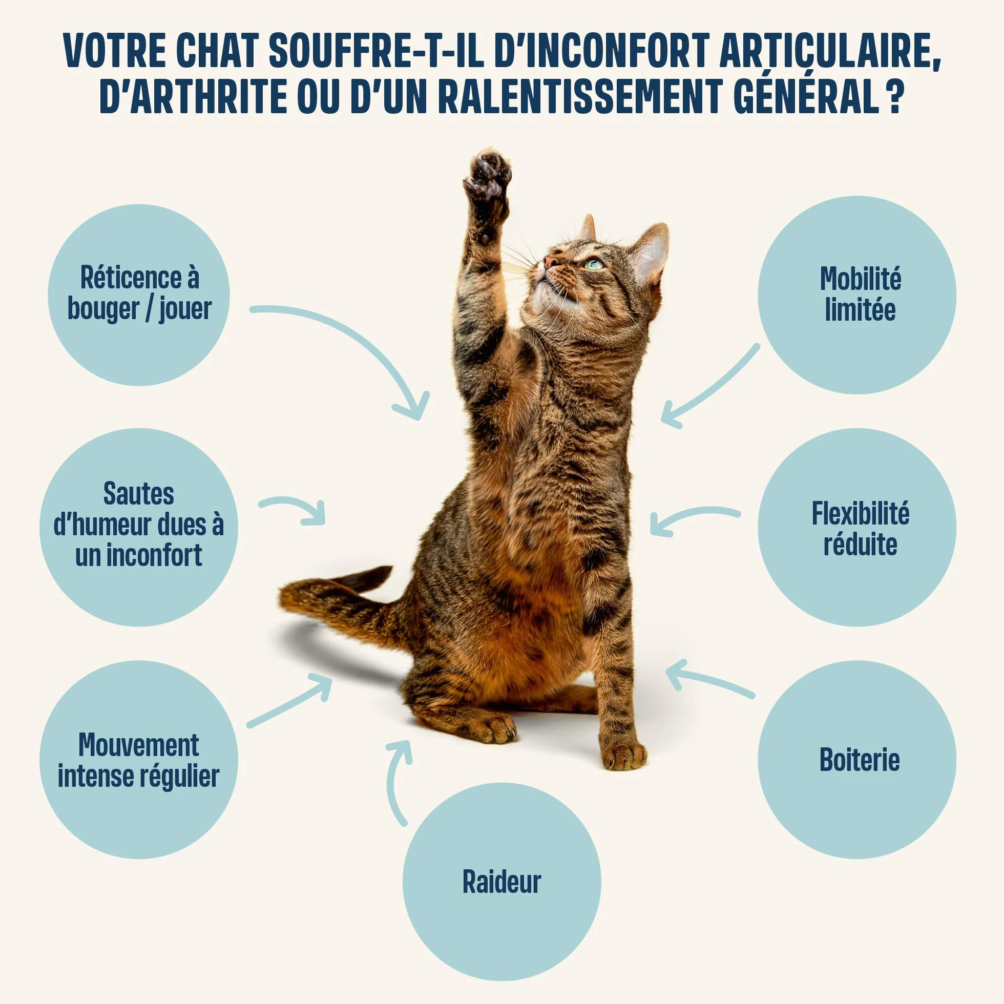 ivvi Articulations Essence pour Chats – Crème à lécher Glucosamine Chondroïtine Moule Verte Huile de Saumon – Soutien Articulations – 30x15g – Vrai Thon