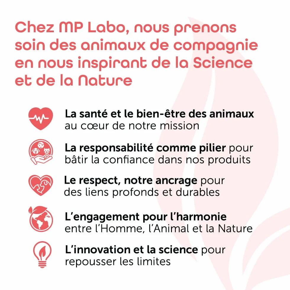 MP Labo Cartimax Soutien Fonction Articulaire Chien Chat Glucosamine Harpagophytum Reine des Prés Bambou Oligo-éléments 50 Gélules