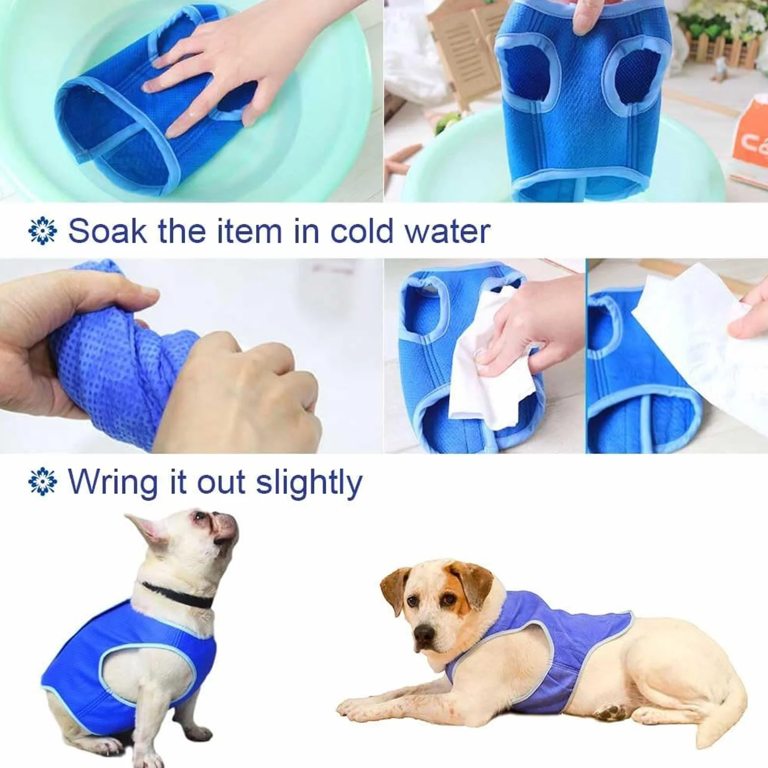 Gilet Rafraîchissant pour Chien, Veste Légère pour Animaux (M, Bleu)