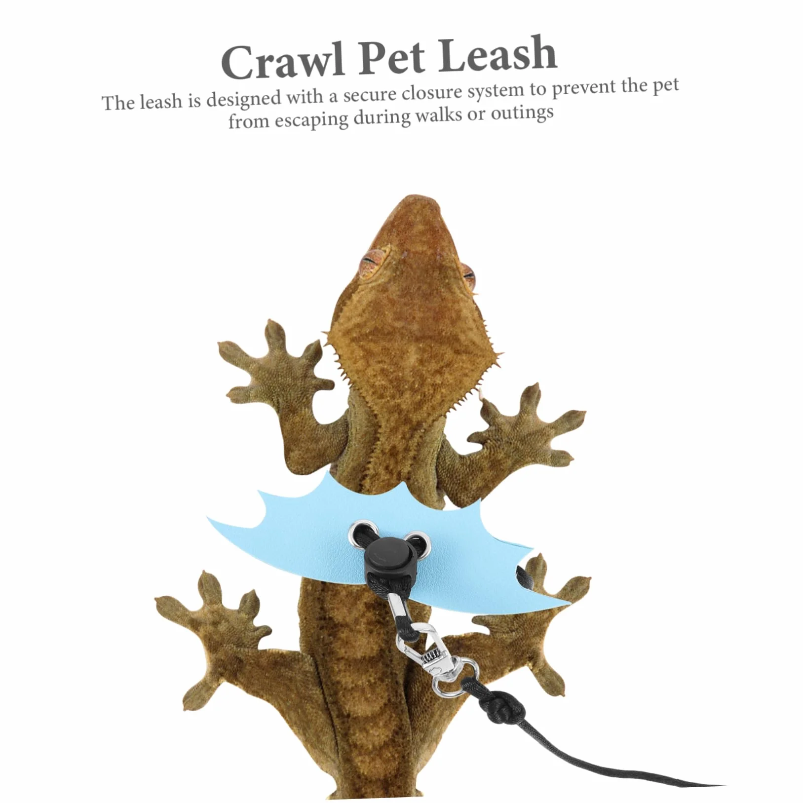 Laisse Réglable pour Reptiles Lézards Petits Animaux Design Unique Sorties Extérieur
