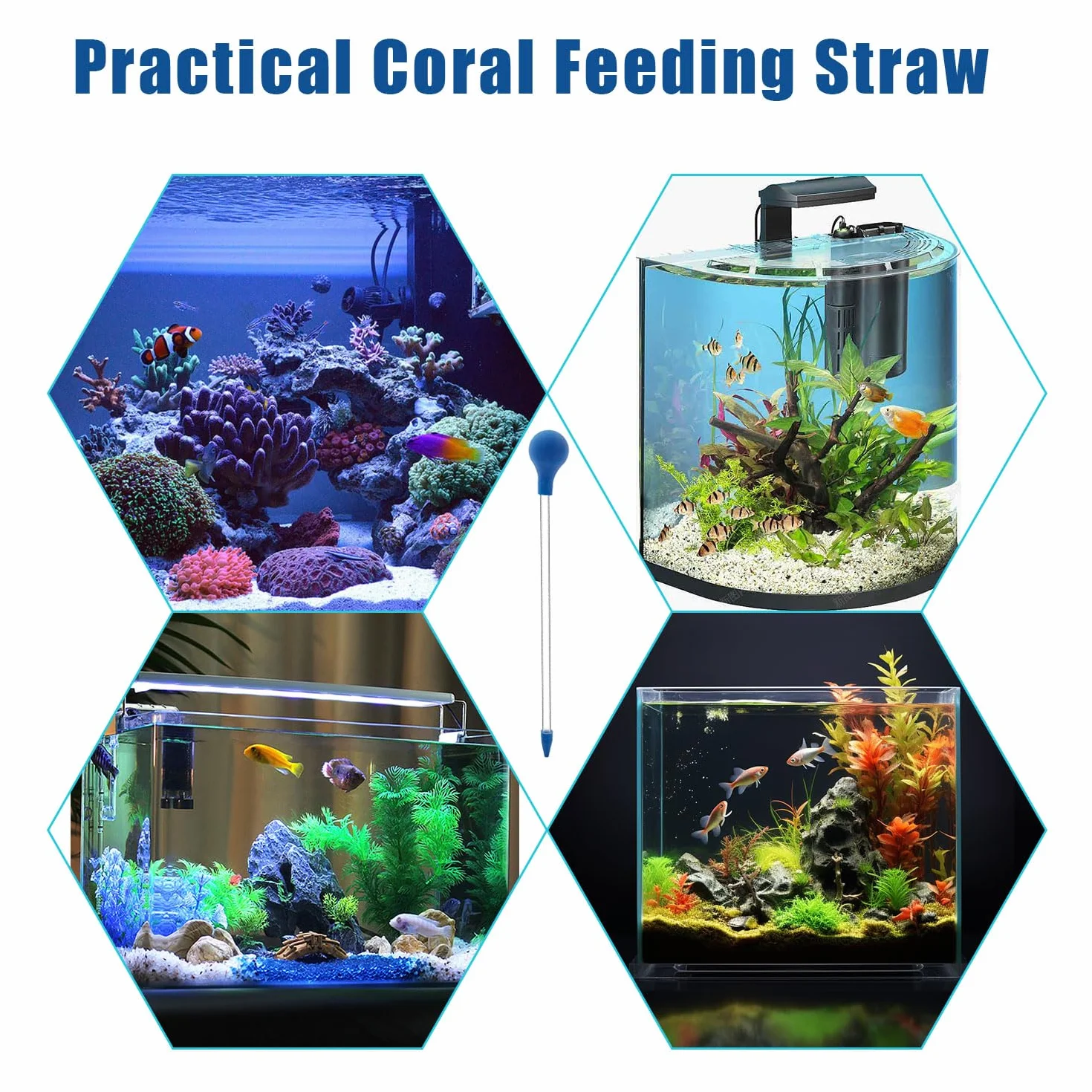 JOYOLA Mangeoire à Corail Pipette Multifonctionnelle pour Aquarium