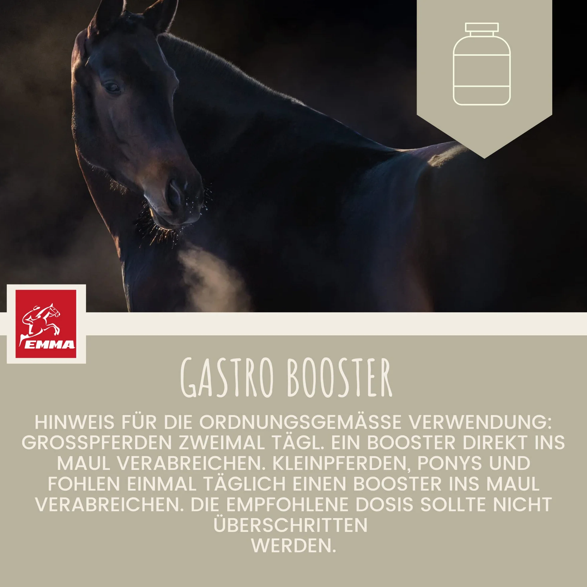 Pâte Gastro-intestinale Probiotiques Levure de bière Cheval Vitamine E Culture de levure Flore intestinale 3x30ml
