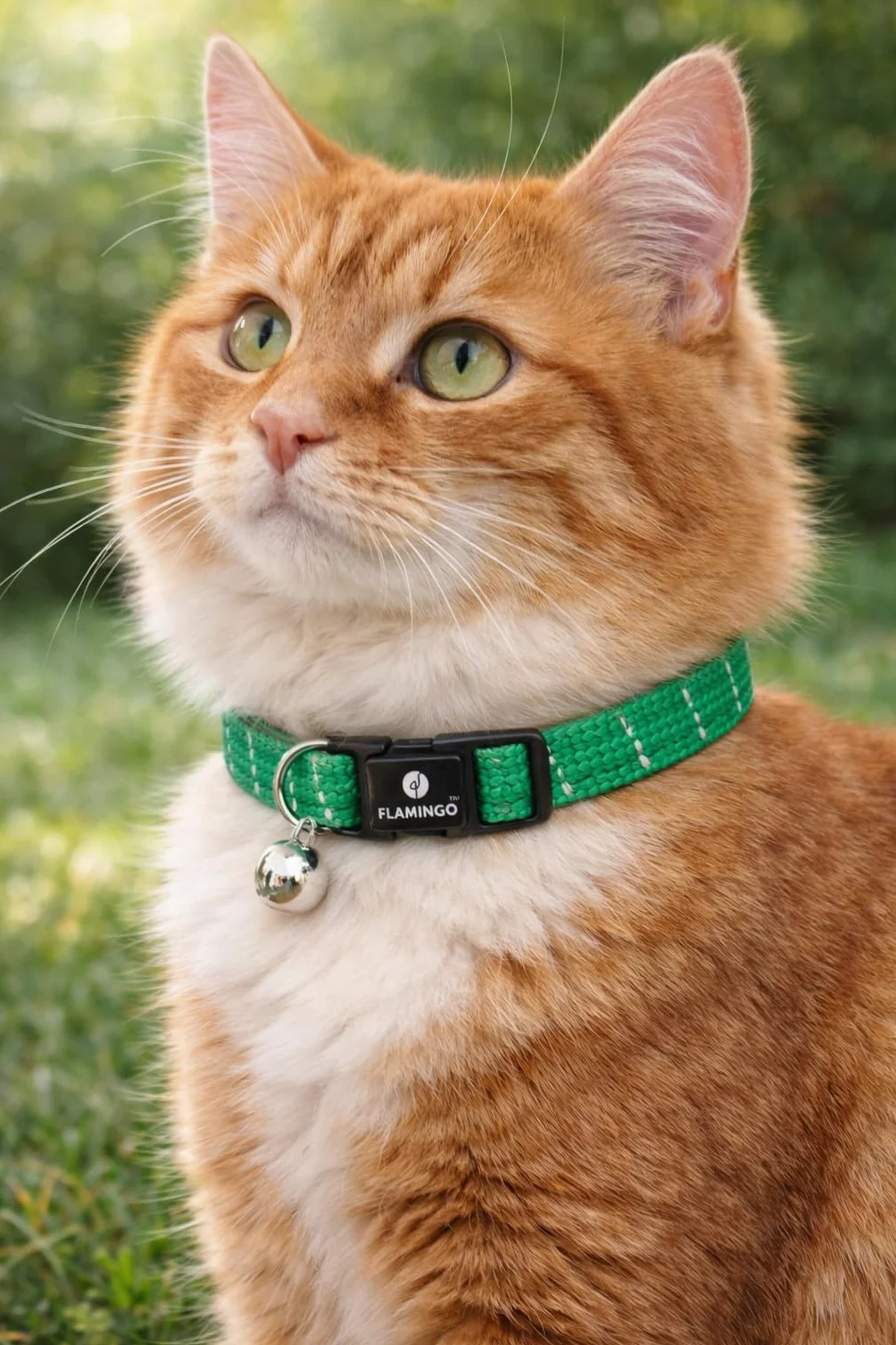 Collier Chat Elza Vert 20-34 cm Nylon élastique réfléchissant avec Clochette