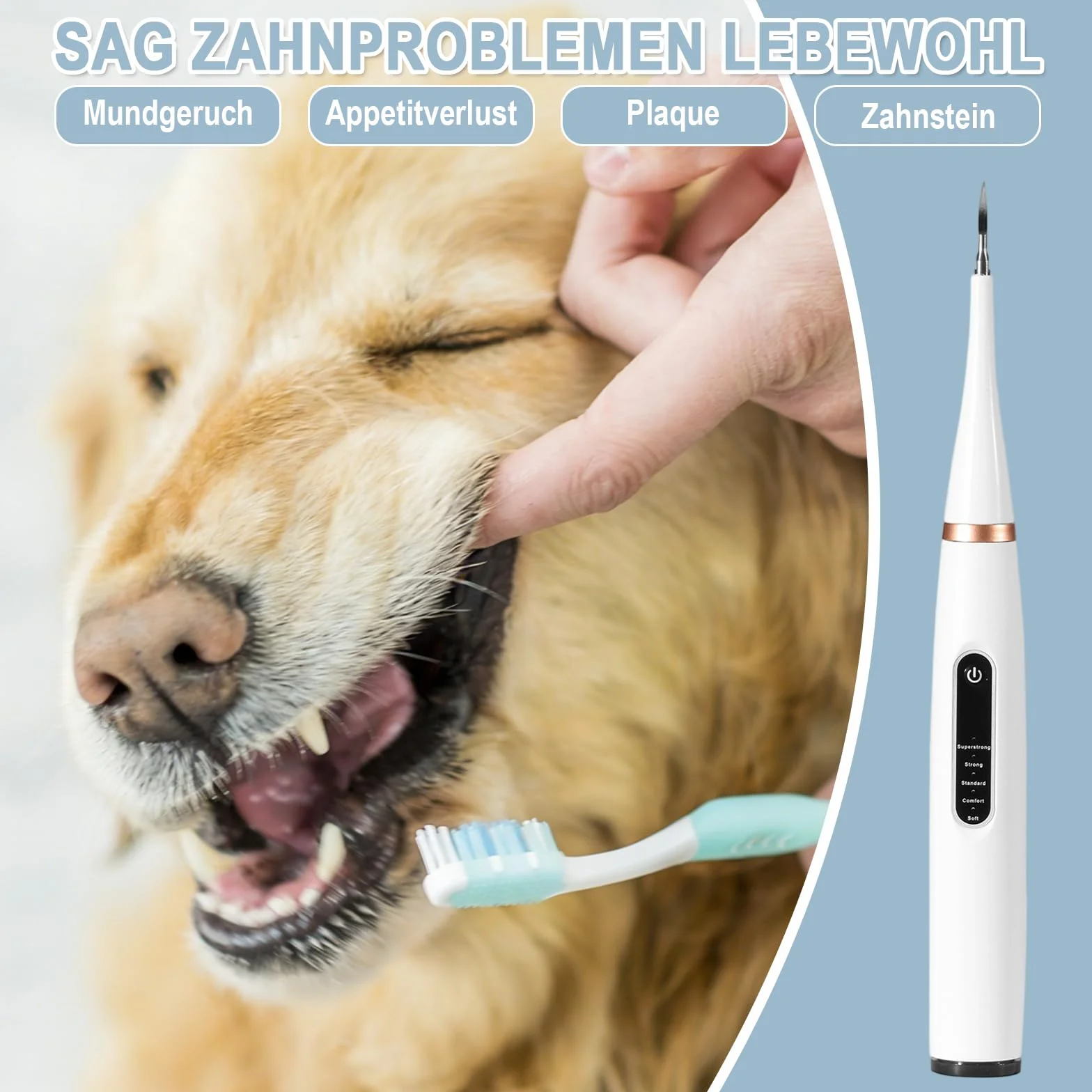Detartreur Dentaire Ultrasonique pour Chien et Chat - Kit 5 en 1 Ultra Edition, 31K Vibrations/min, 4 Embouts, USB-C, Autonomie 30 Jours, Étanche IPX6
