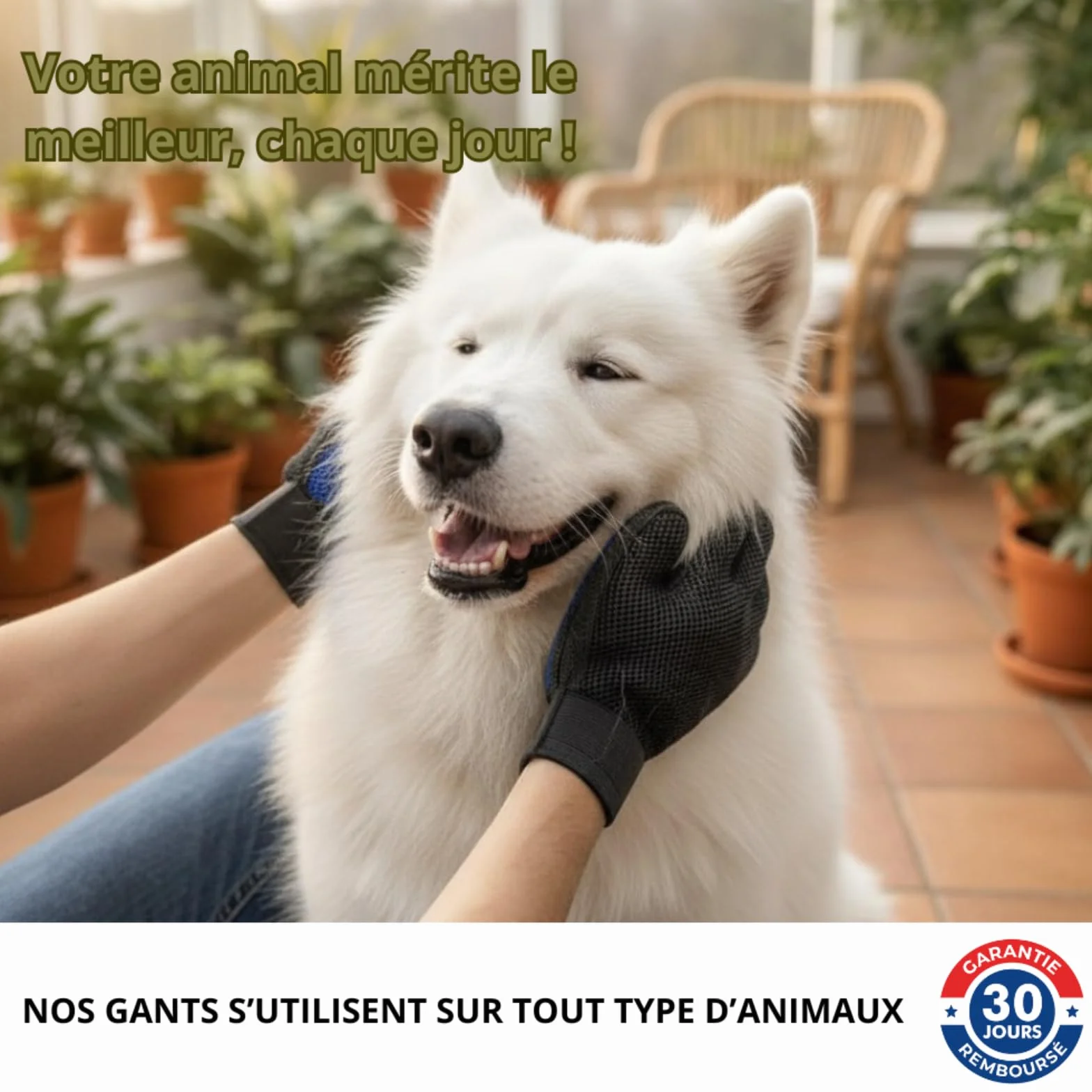 Gants de Toilettage Ajustables pour Animaux 4 en 1 Silicone Doux pour Chien Chat Lapin Brossage Massage Bain Retrait des Poils (Noir)
