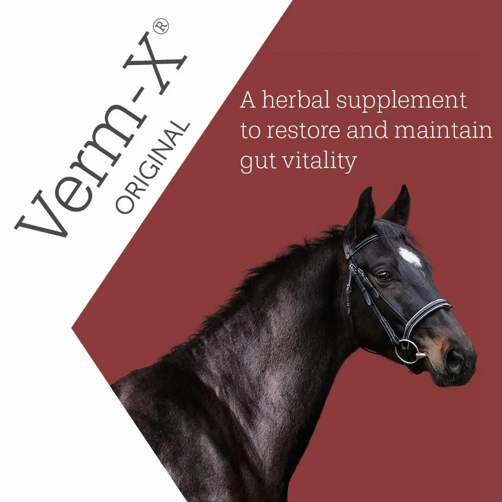 Verm-X Granulés pour chevaux 250 g