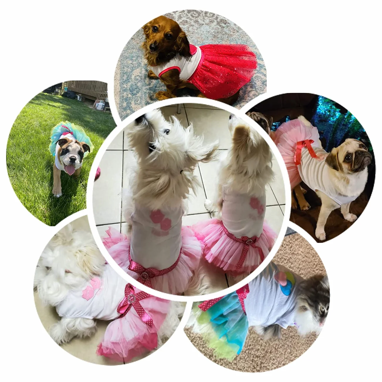 Chien Robe Luxe Chiot Jupe Princesse Robes Mariage Soirée Tutu Bowknot pour Petite Fille