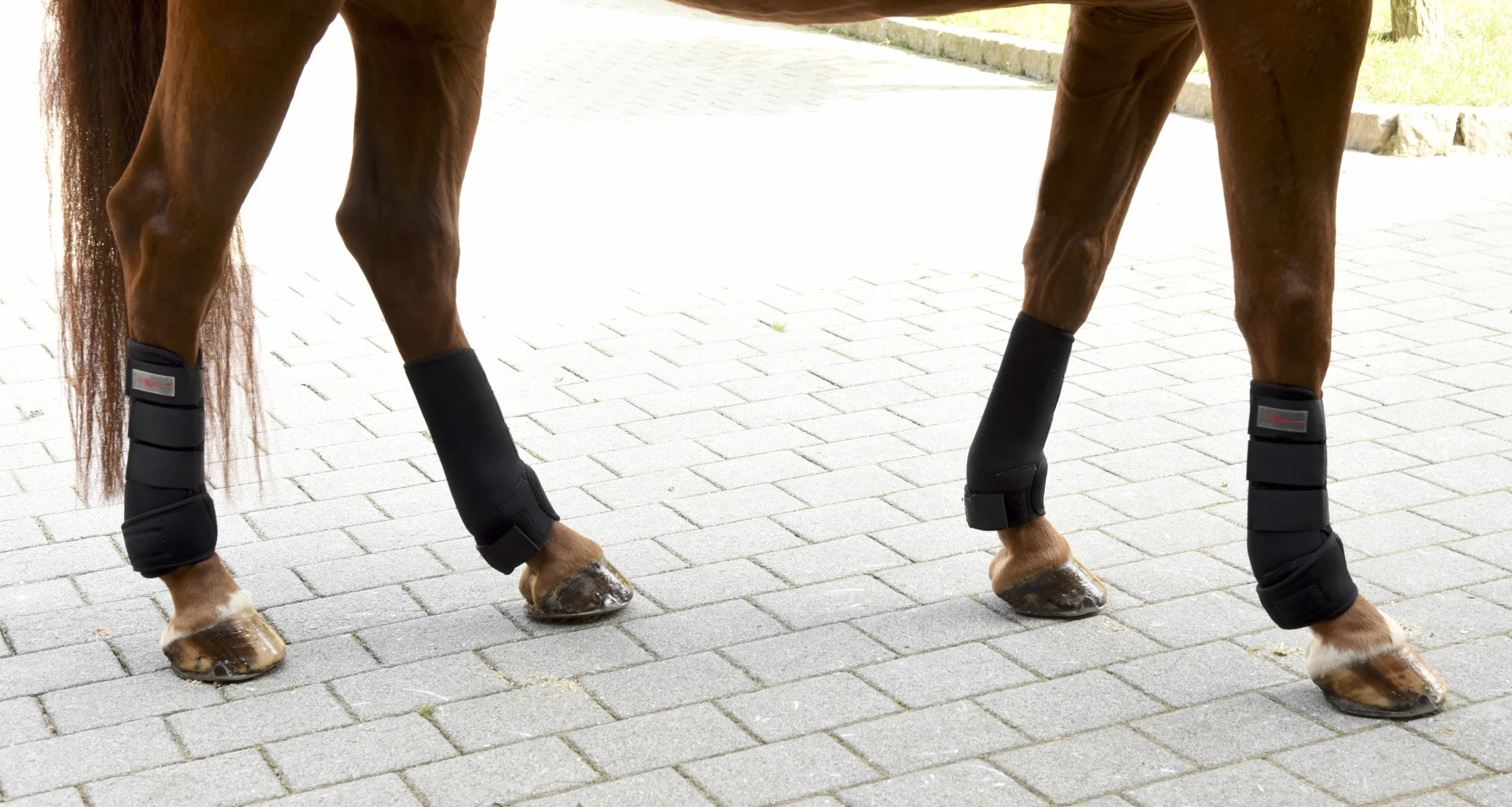 KERBL Protège-Boulet Cheval Pur-Sang Taille M