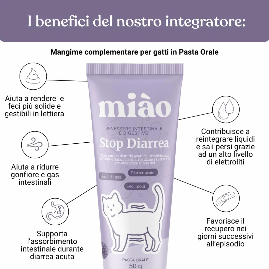 Miào Stop Diarrhée Chat Pâte – Soutien Intestinal Diarrhée Aiguë, Selles Fermes, Réhydratation Électrolytes