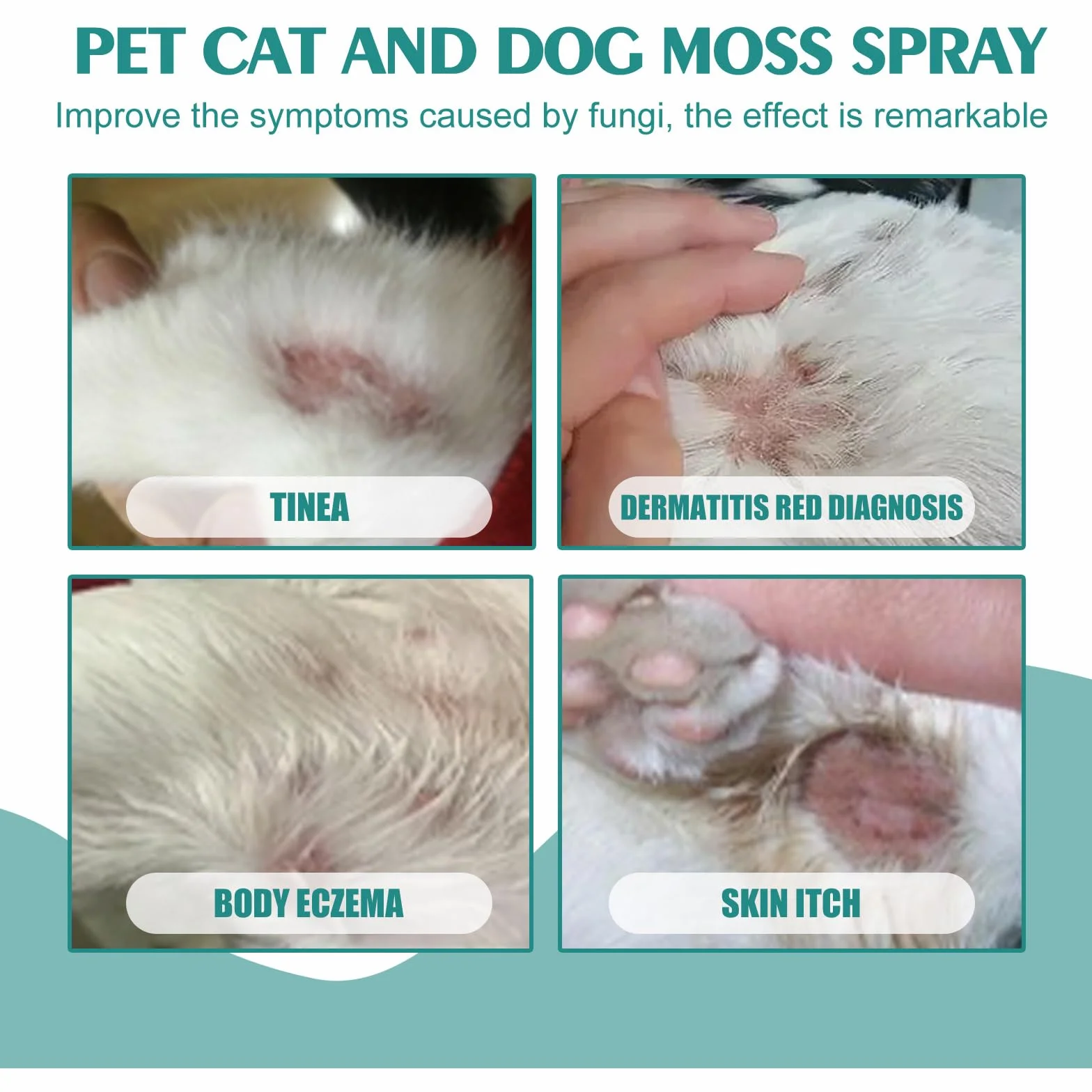 Spray de Guérison pour Animaux, Cicatrisation, Plaies, Antiseptique Chiens Chats