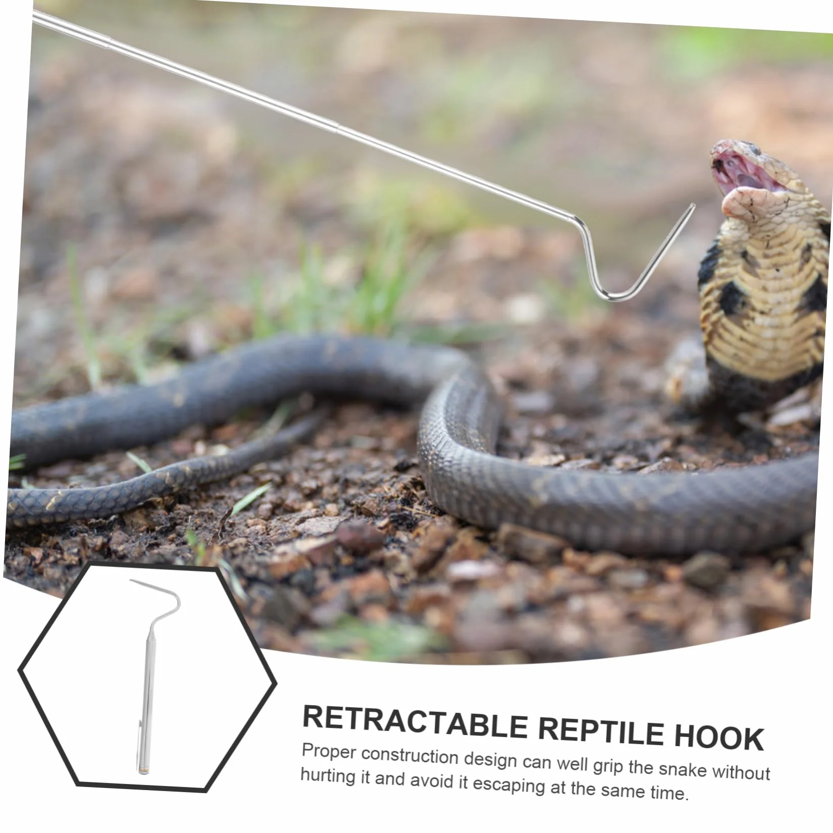 Crochet Rétractable pour Reptiles en Acier Inoxydable Attrape-Serpents Pliable Outil de Capture Longueur Réglable