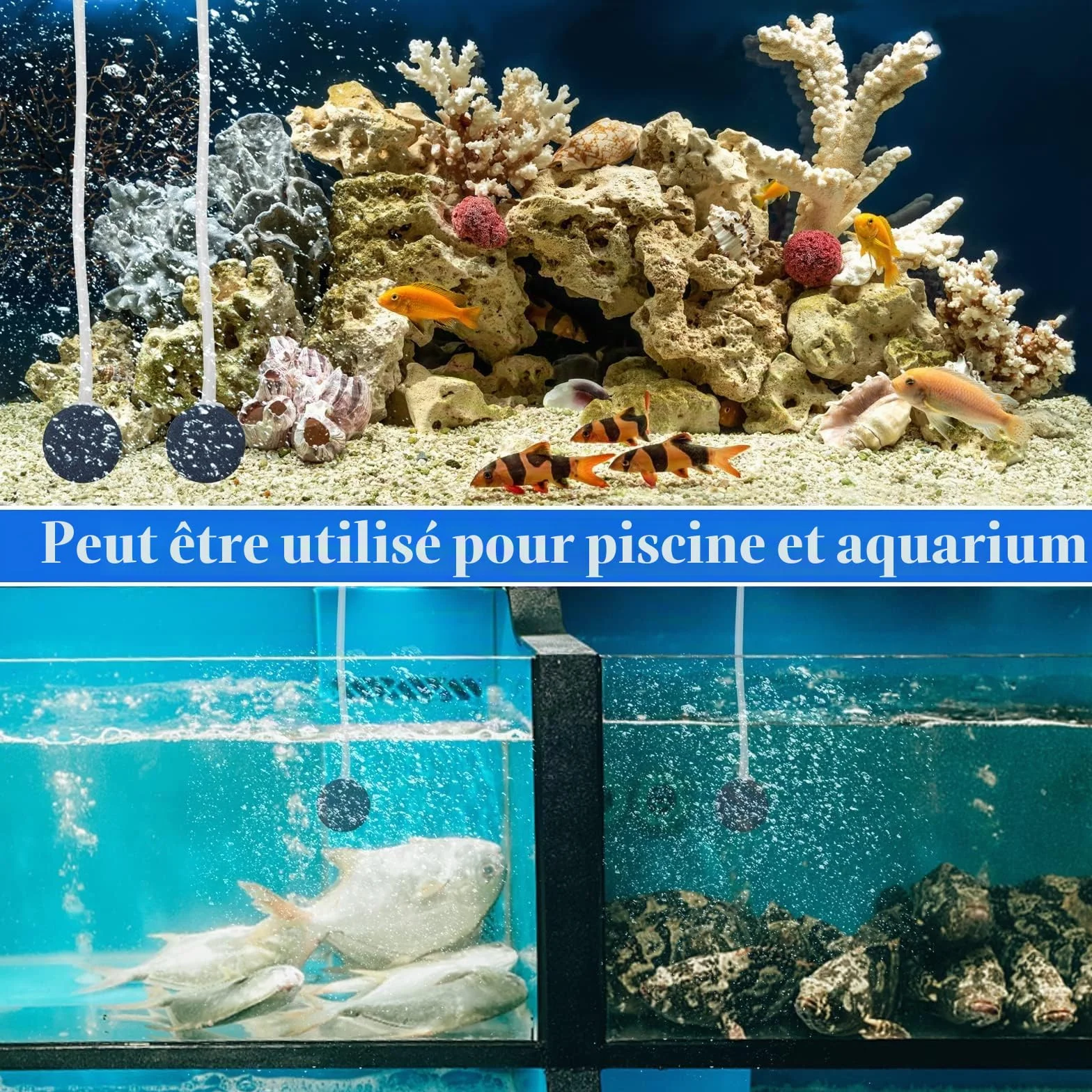 Pompe à air solaire 2 W avec batterie de secours 2200 mAh pour bassin aquarium étang