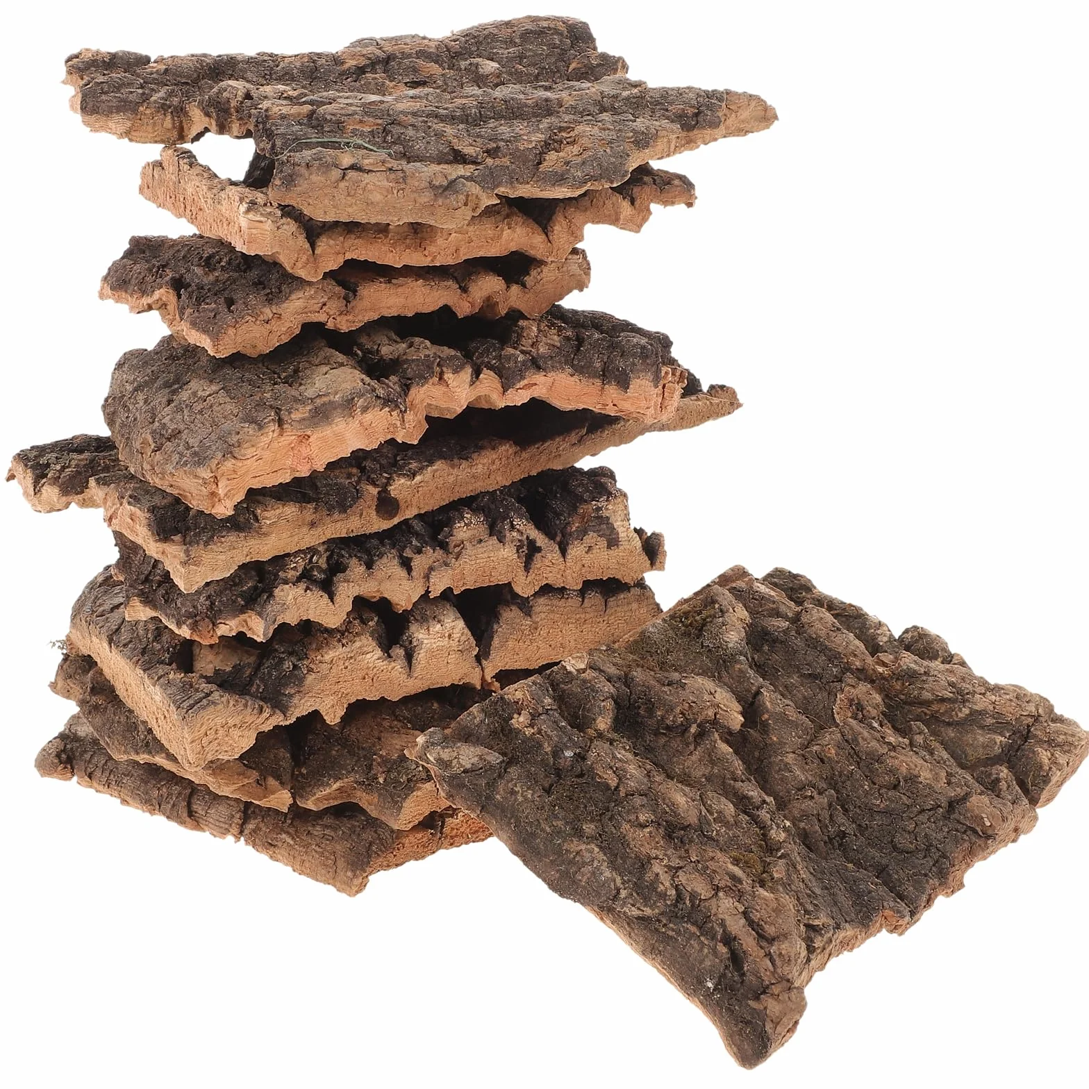 FOMIYES Écorce Arbre pour Reptiles Plateformes Escalade Tortues Décoration Terrarium