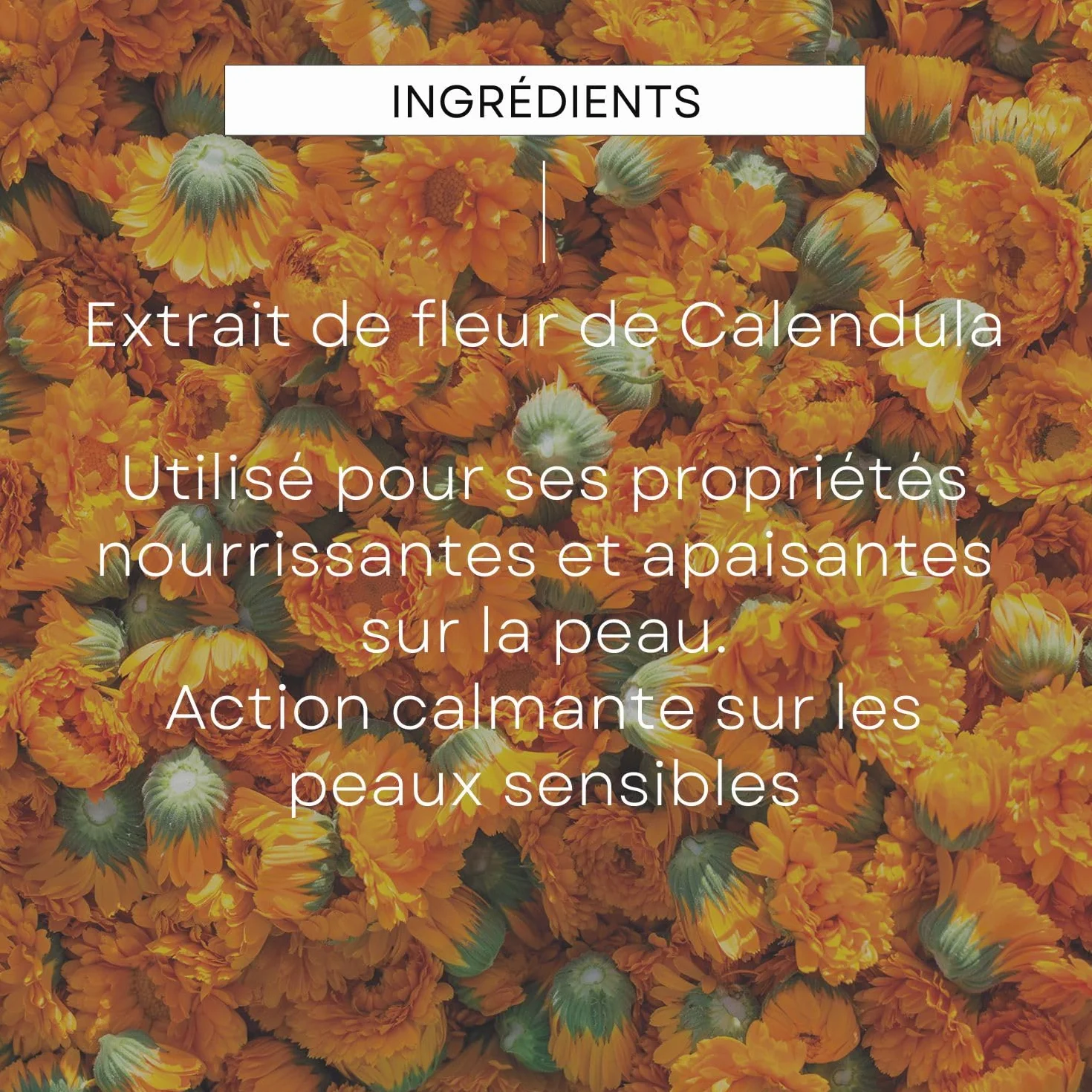 WELEDA Coffret Cadeau Naissance Soins Douceur Bébé Calendula Crème Lavante Visage Change Baume Cape Bain Coton Bio NATRUE 200ml+75ml+50ml+25g