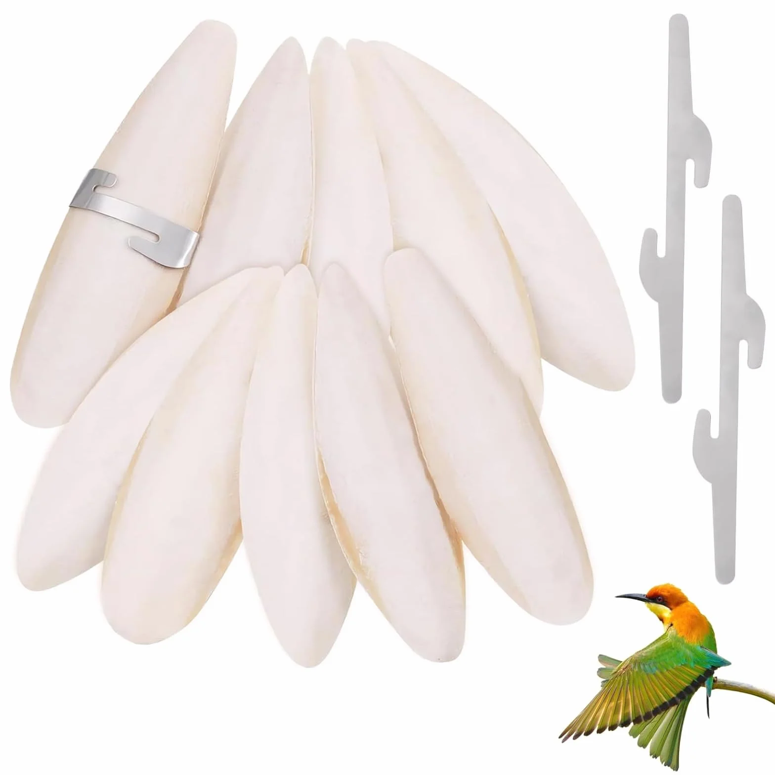 Lot de 10 bols à sépia pour tortues 9-12 cm avec support calcium minéraux
