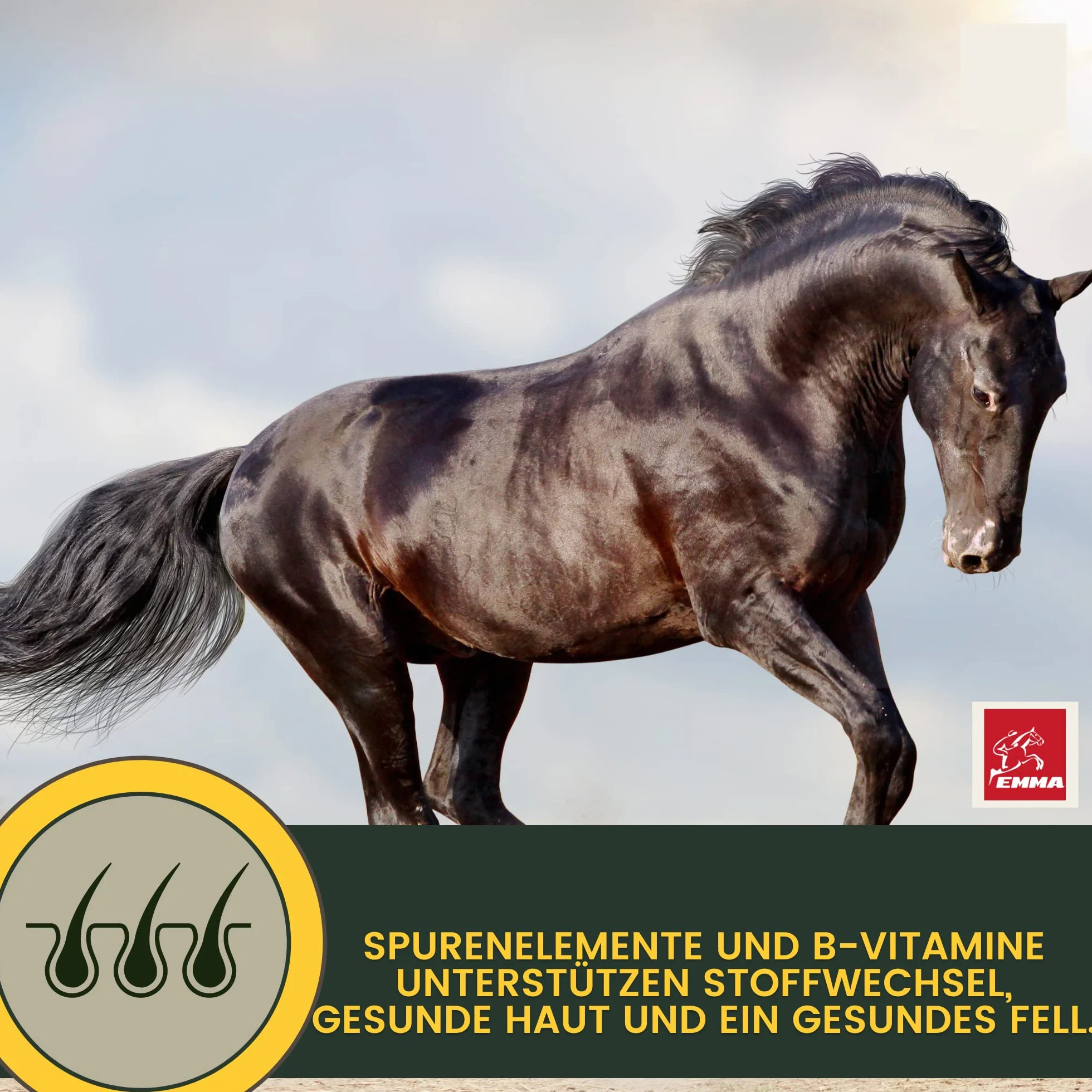 Levure de bière Cheval Gastro Liquide probiotiques pour Chevaux Pelage Peau Flore intestinale Digestion Vitamines Minéraux 1L