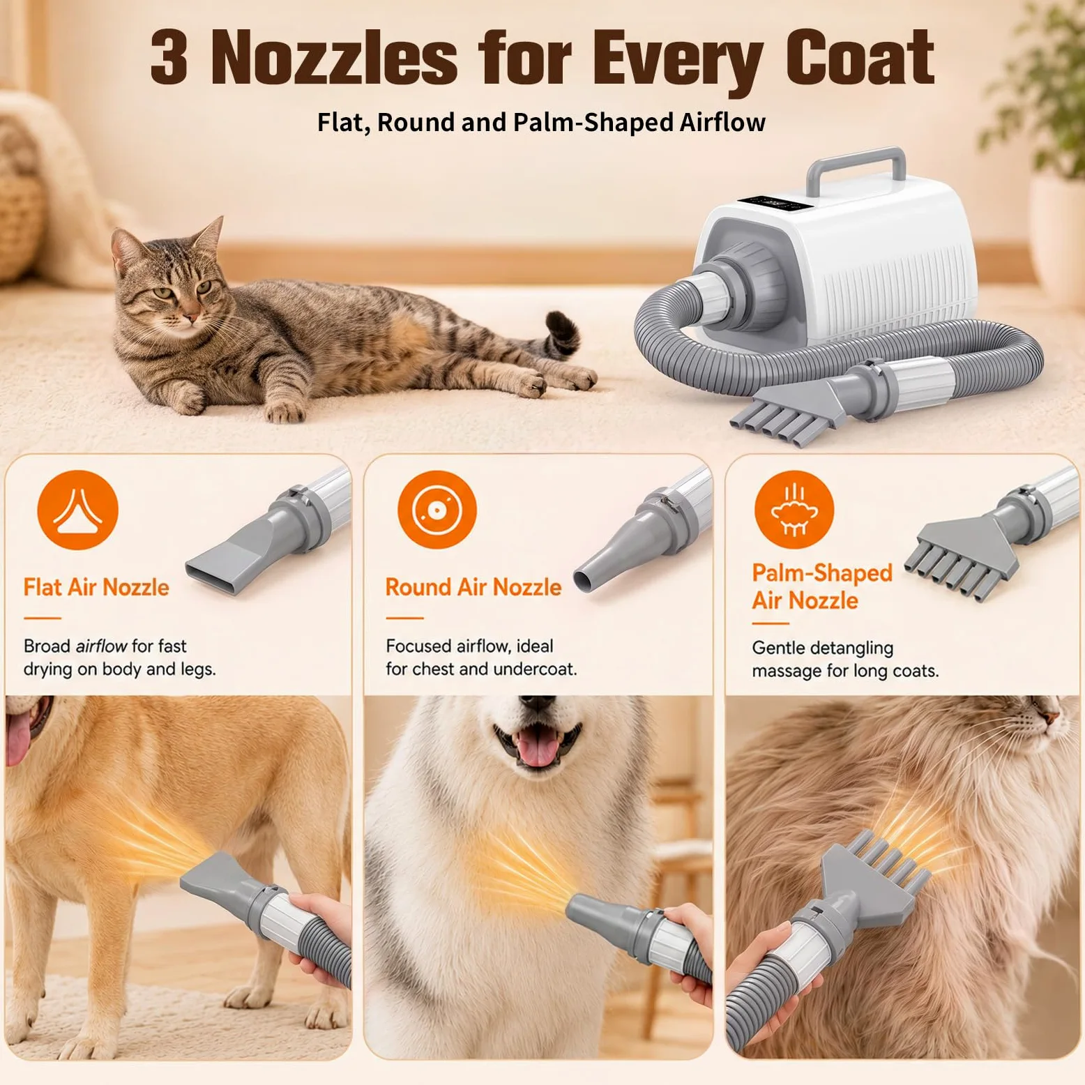 Sèche-cheveux pour chien avec écran tactile LED | Vitesse du vent et températures réglables, 3 buses différentes