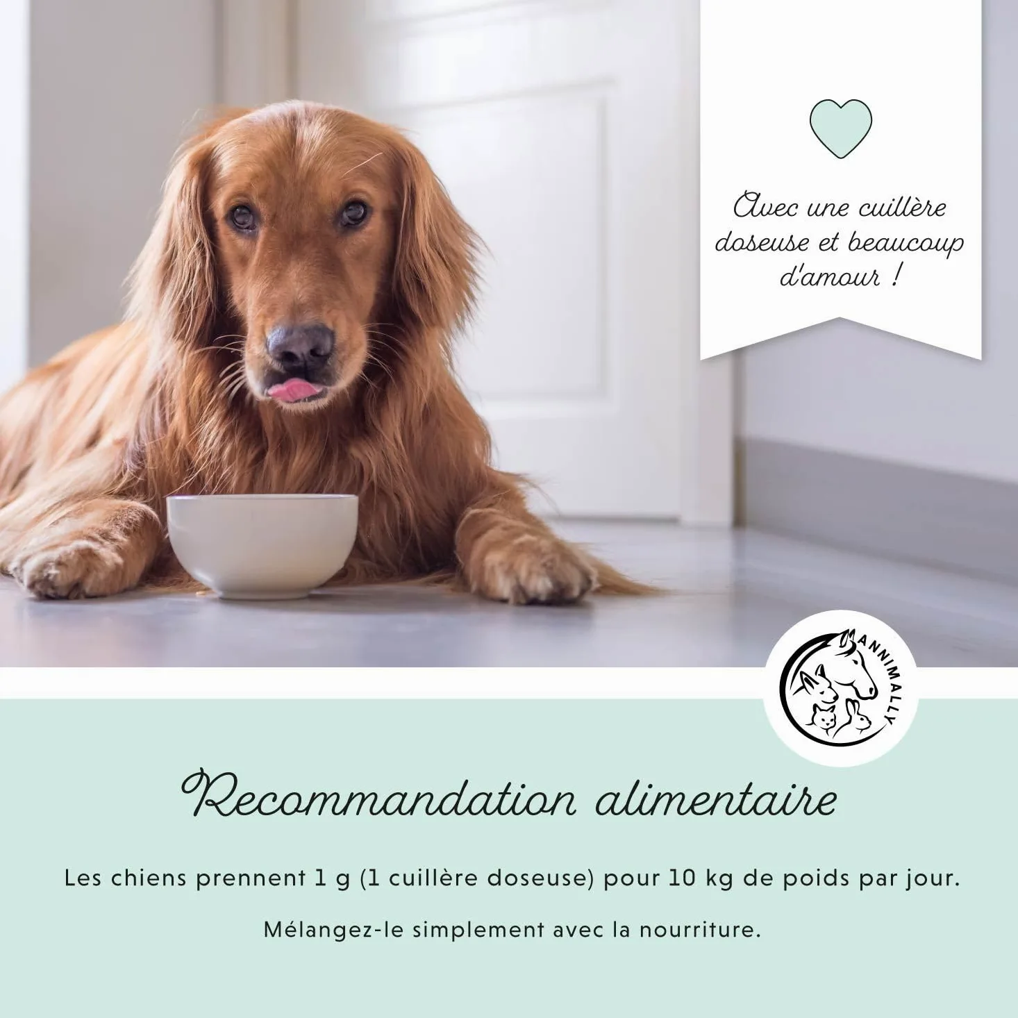 Poudre de soin dentaire pour chiens | Anti-tartre pour chiens - Nettoyage dentaire naturel et particulièrement efficace contre les dents jaunes, la mauvaise haleine et la plaque (350 g XL)