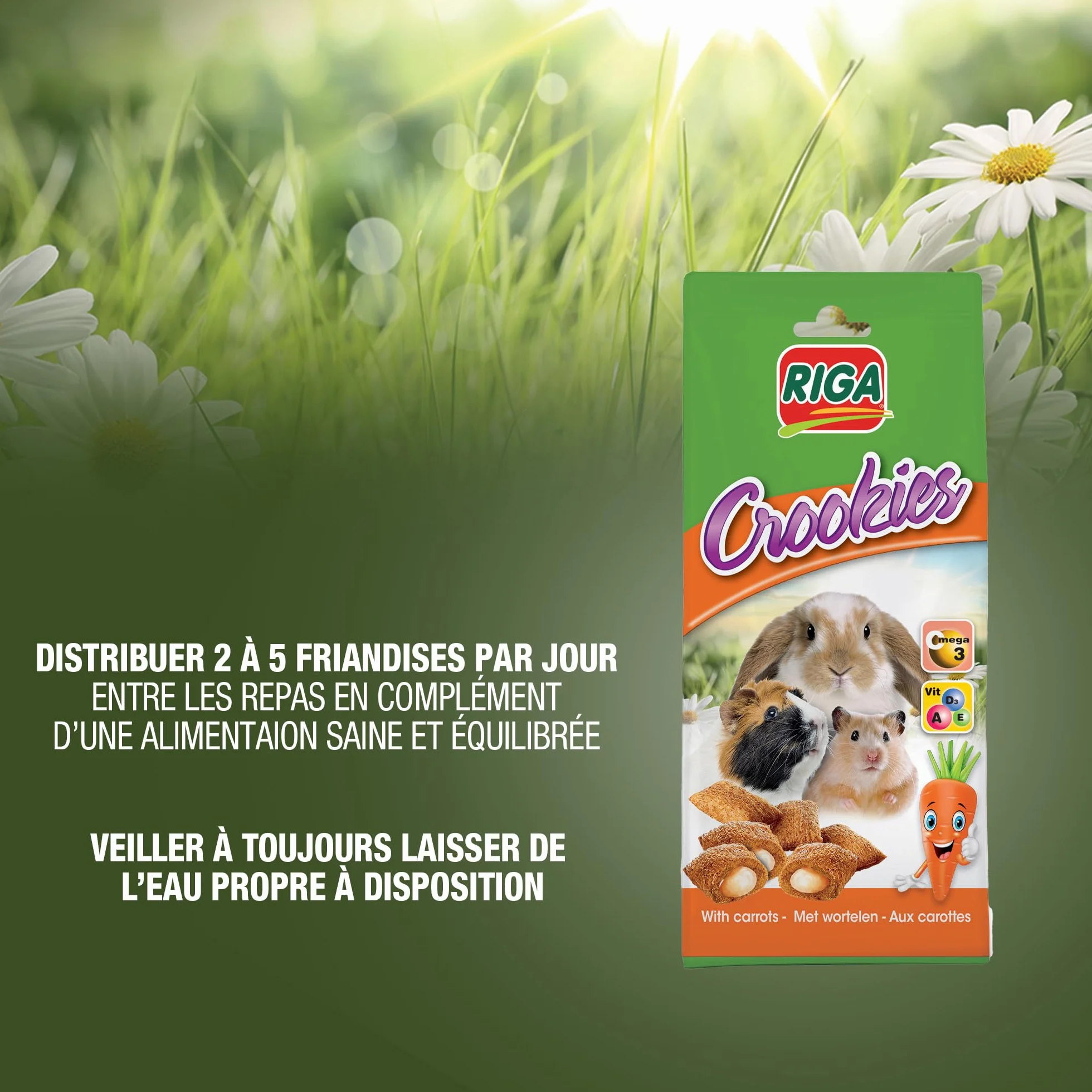 Crookies aux Carottes Biscuits pour Lapins Rongeurs Riche en Vitamines Oméga 3 50 g
