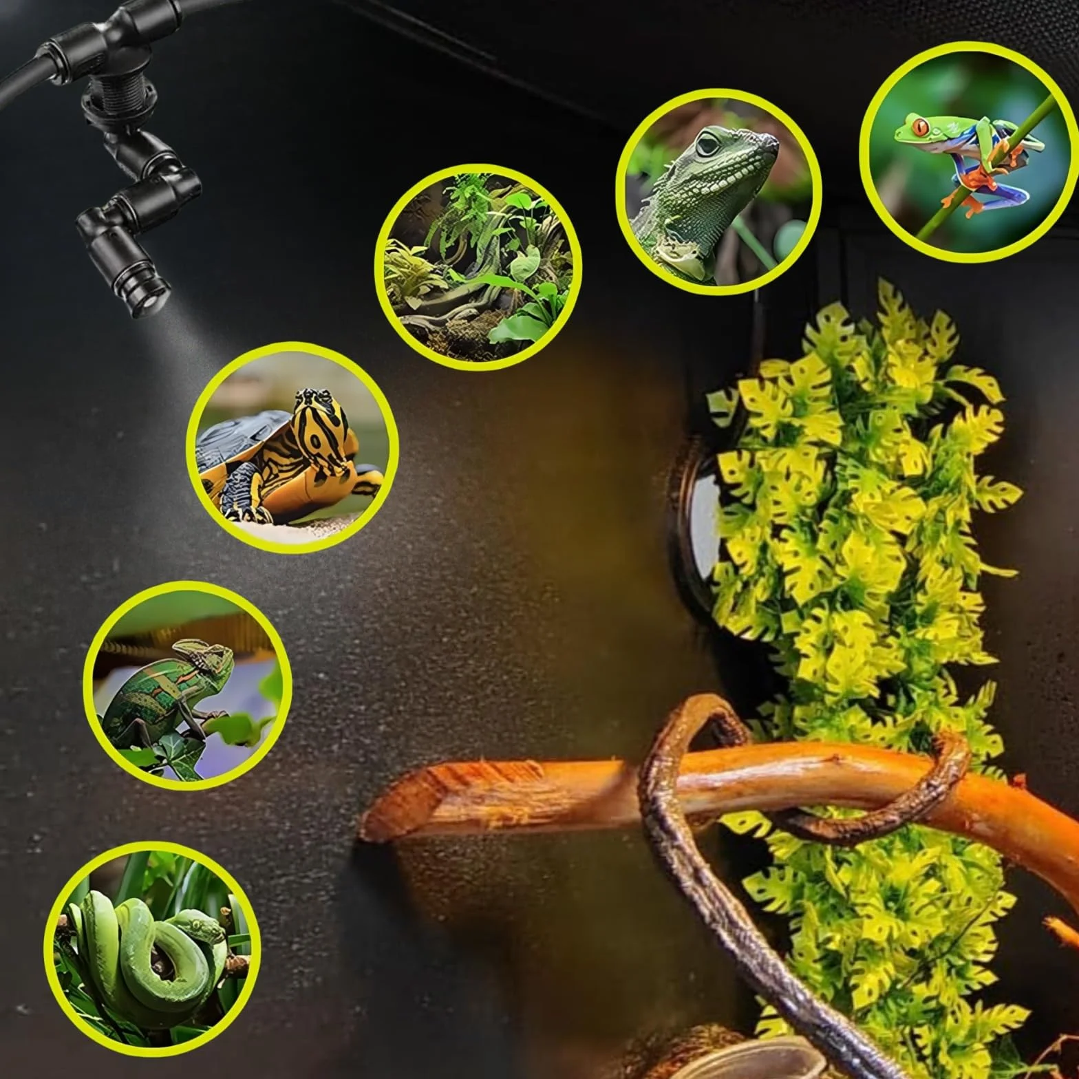 Brumisateur Terrarium Automatique avec Minuterie, Arroseur Brouillard Réglable 360°, Système Pulvérisation Reptiles Plantes